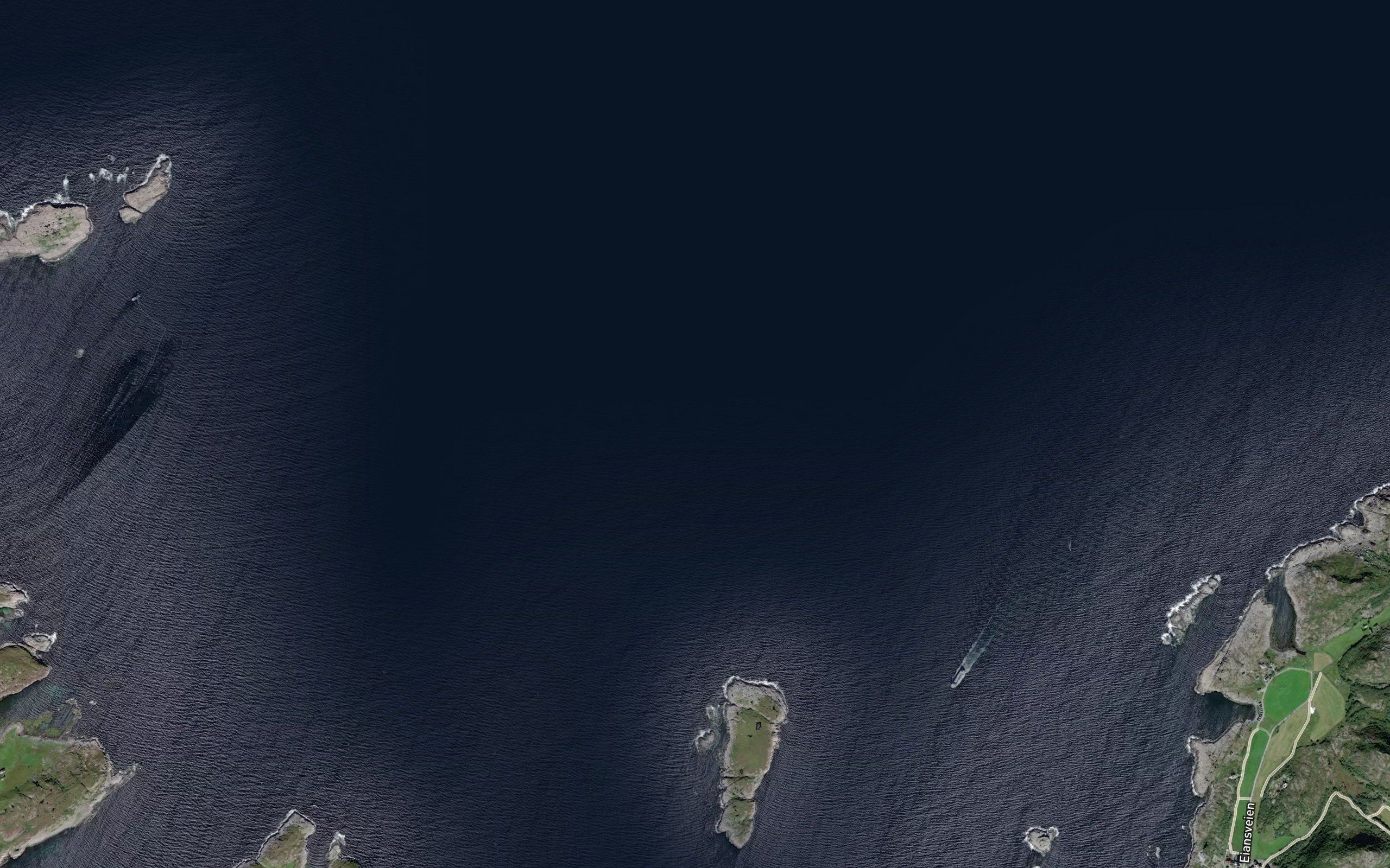 Skjelrevet