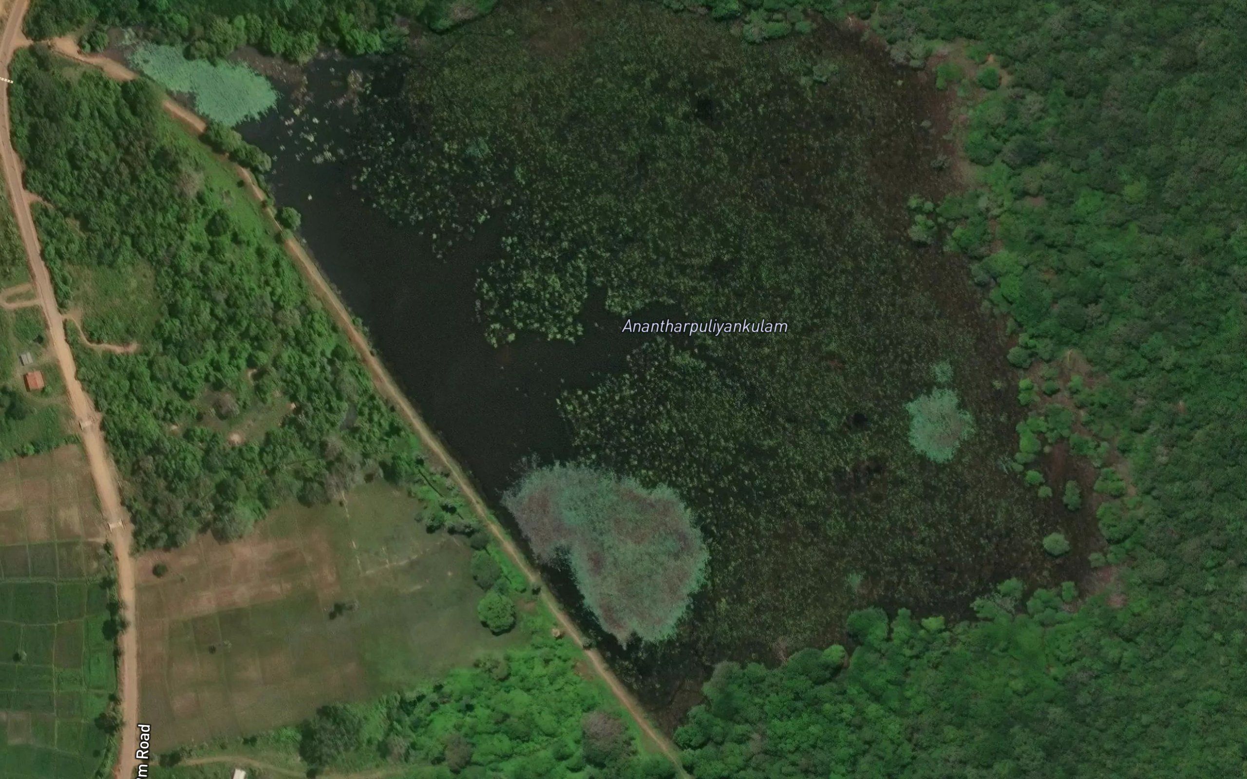 Anantharpuliyan Kulam