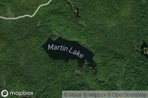 Martin Lake