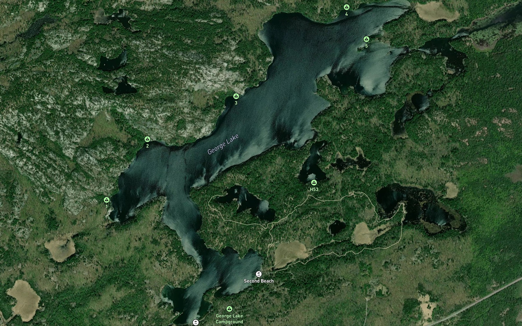 Satellite map of the George Lake
