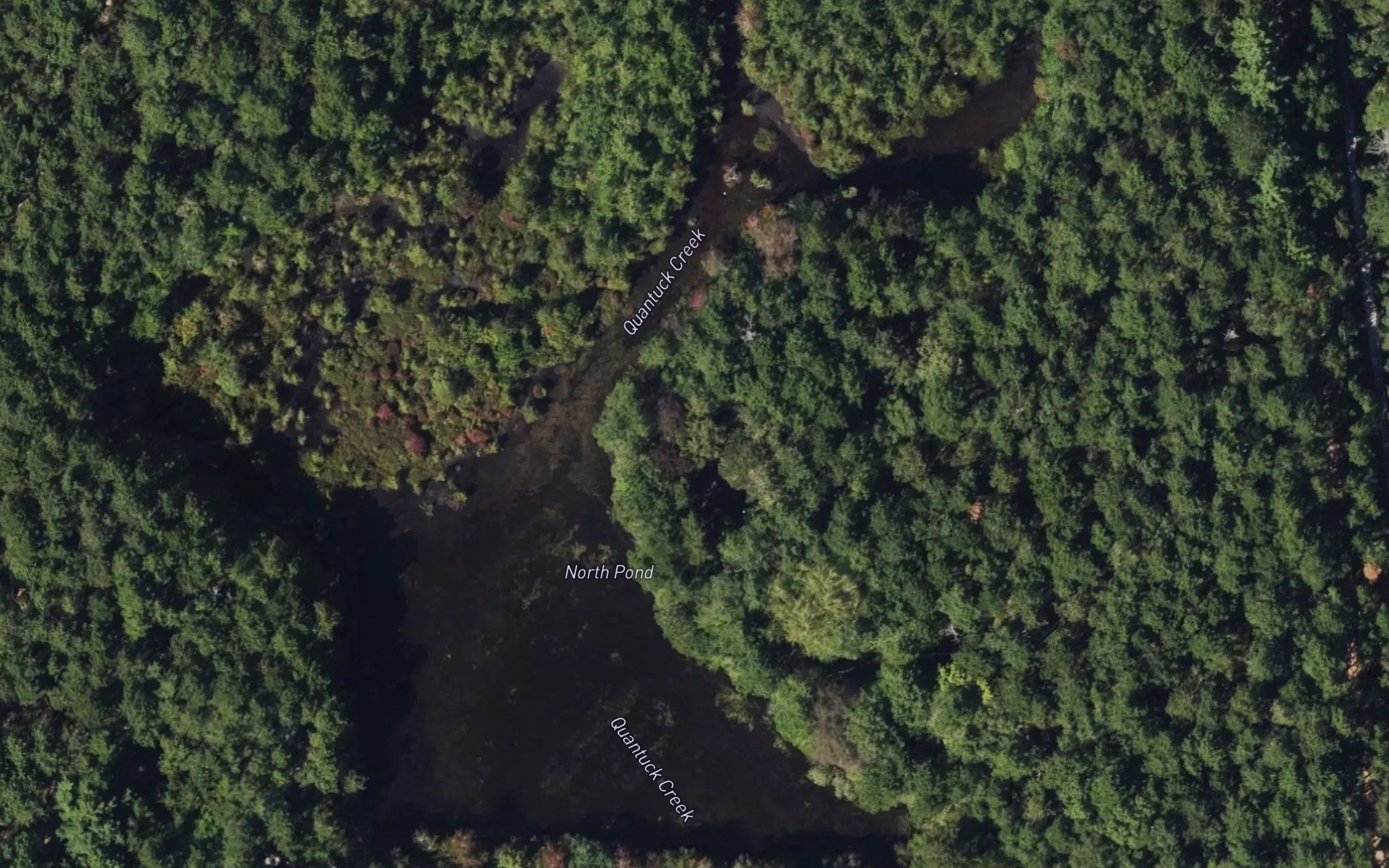 North Pond