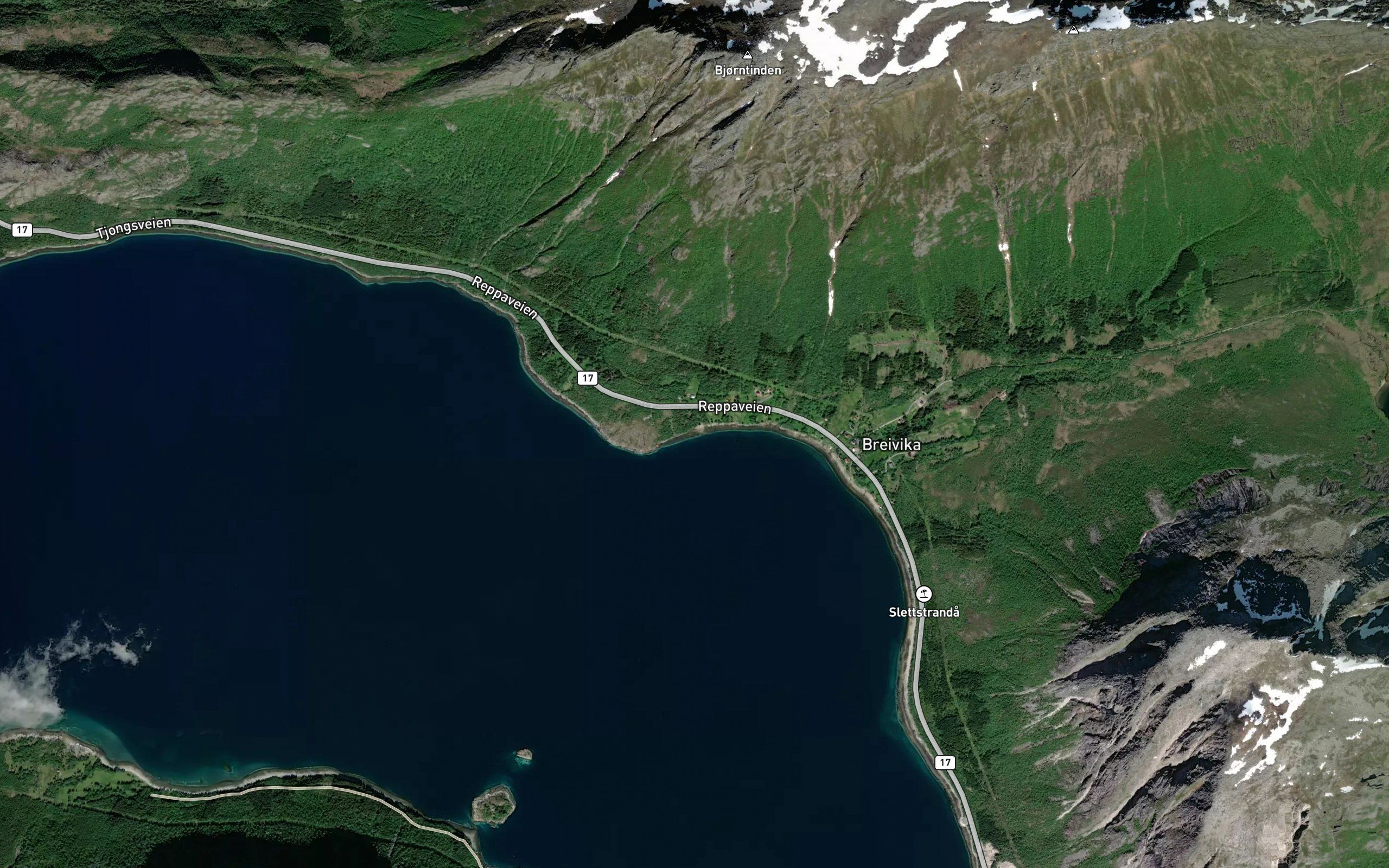 Jektvika