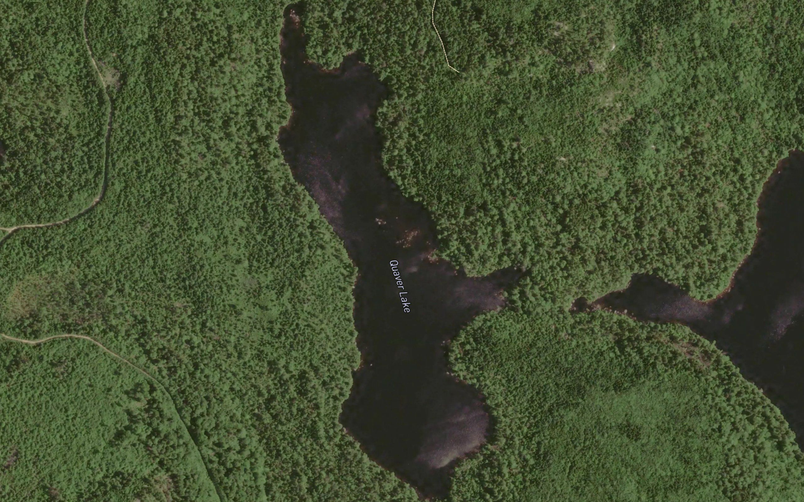 Quaver Lake