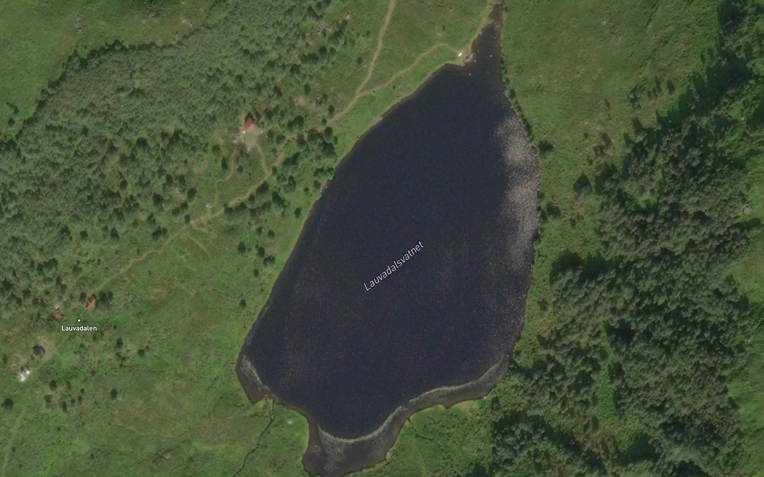 Lauvadalsvatnet