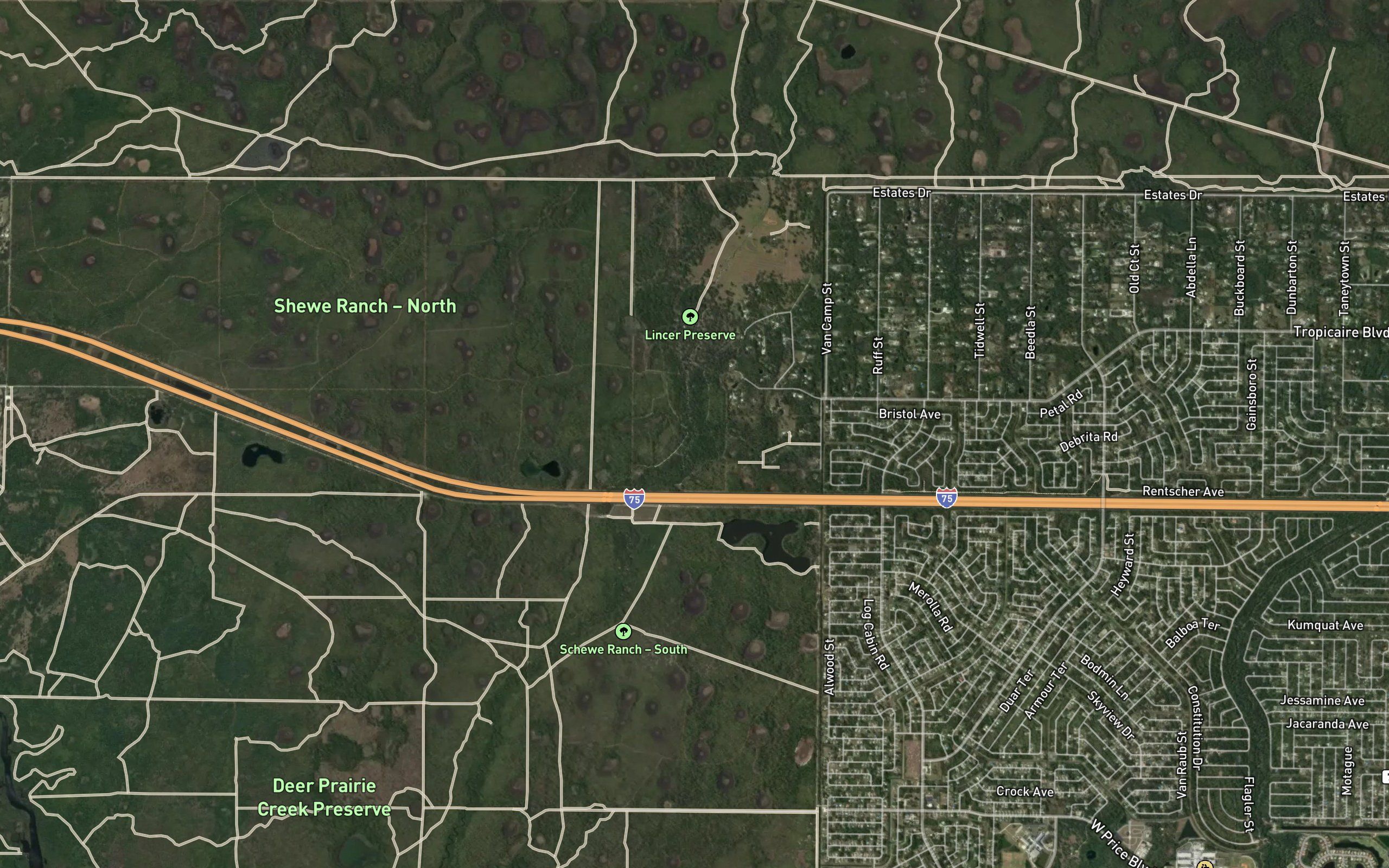 Deer Prairie Slough