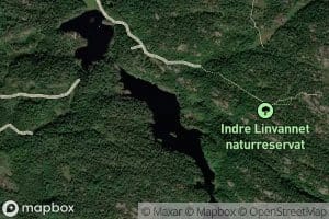 Linvatna