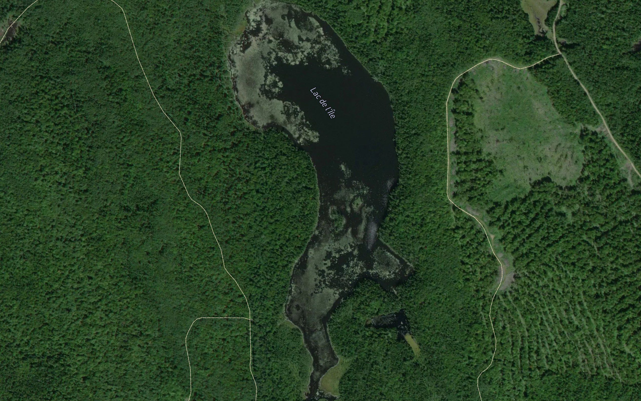 Lac de l'Ile