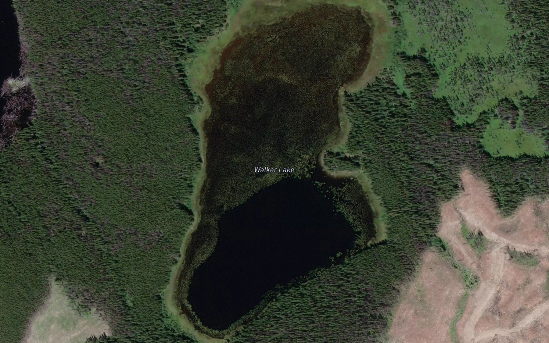 Satellite map of the Walker Lake
