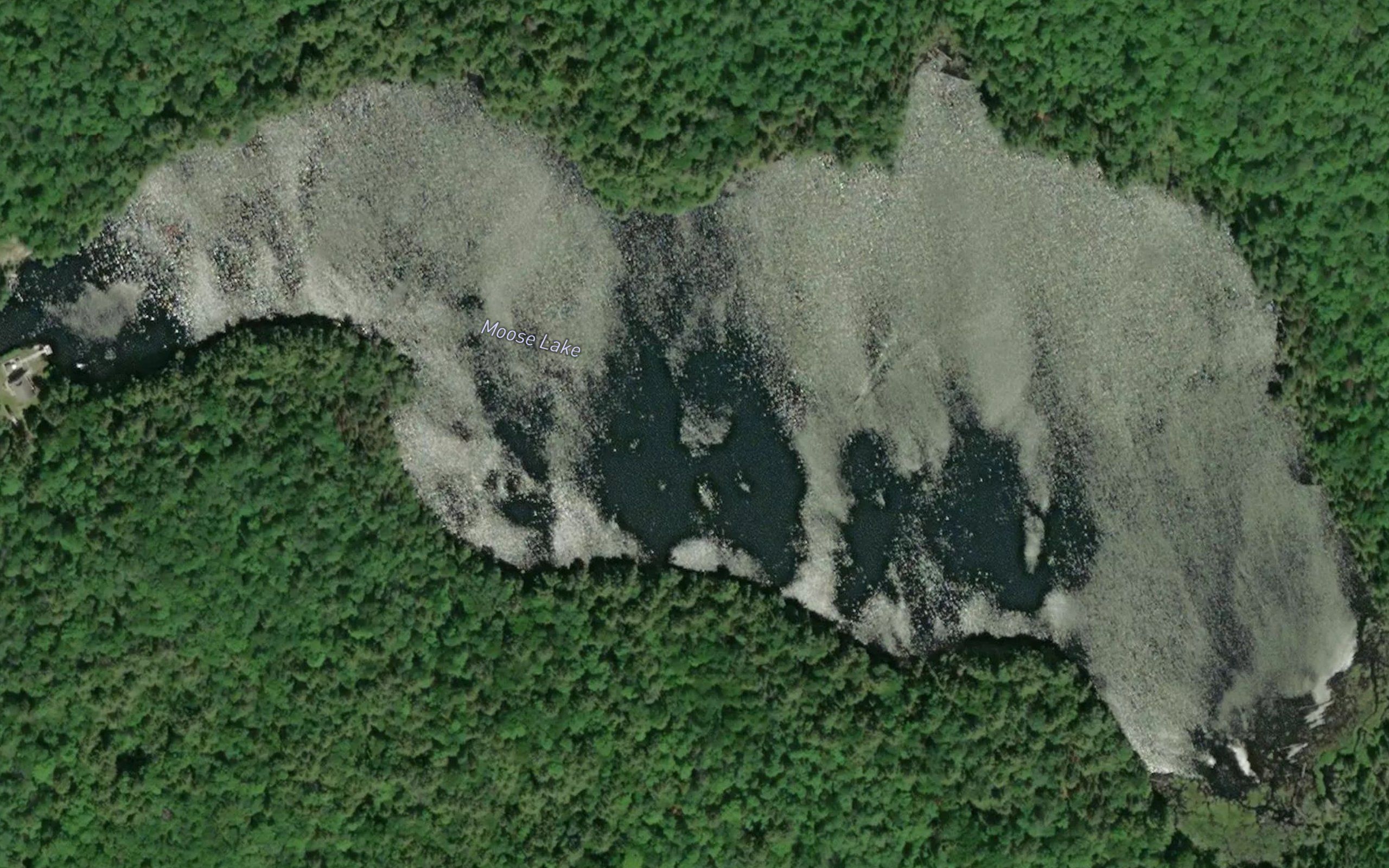 Moose Lake