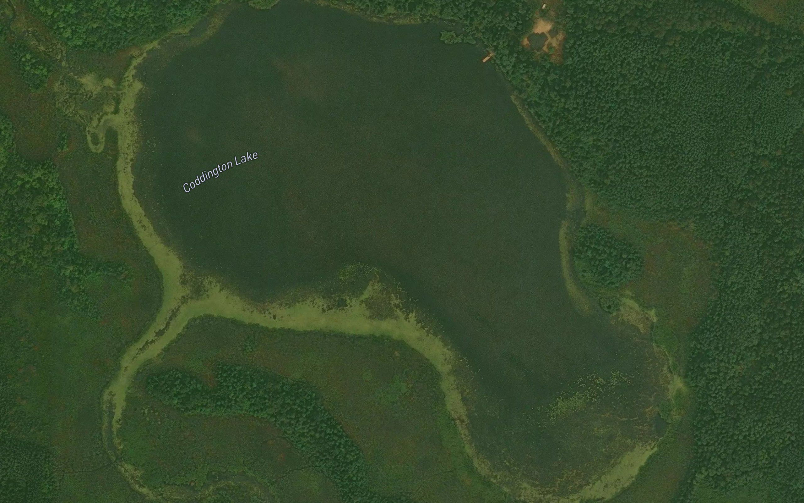 Coddington Lake