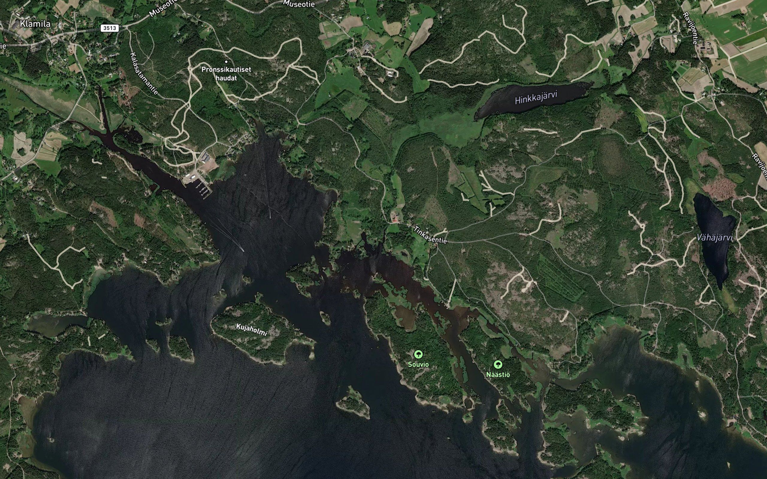 Pakinoja