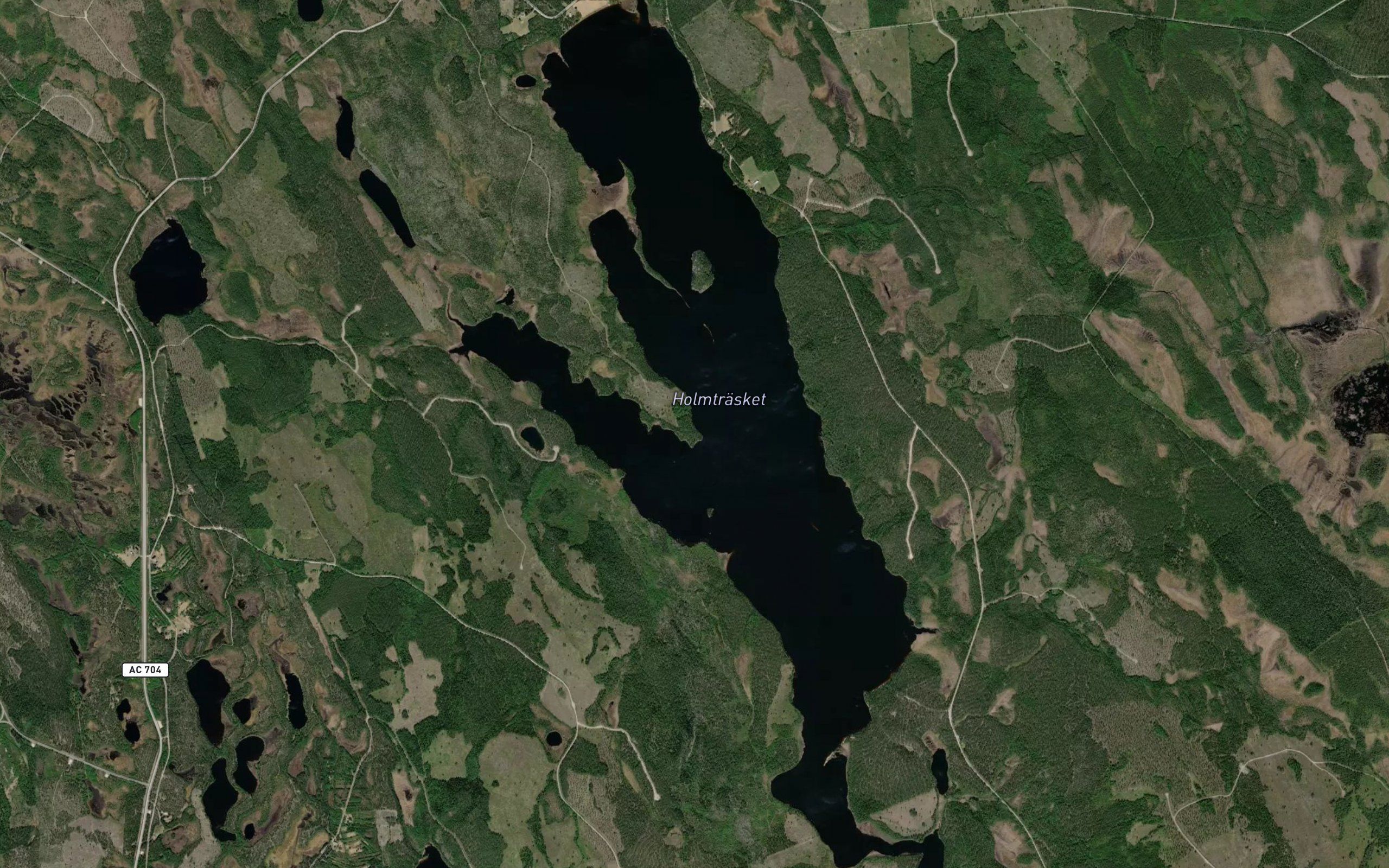 Holmtrasket