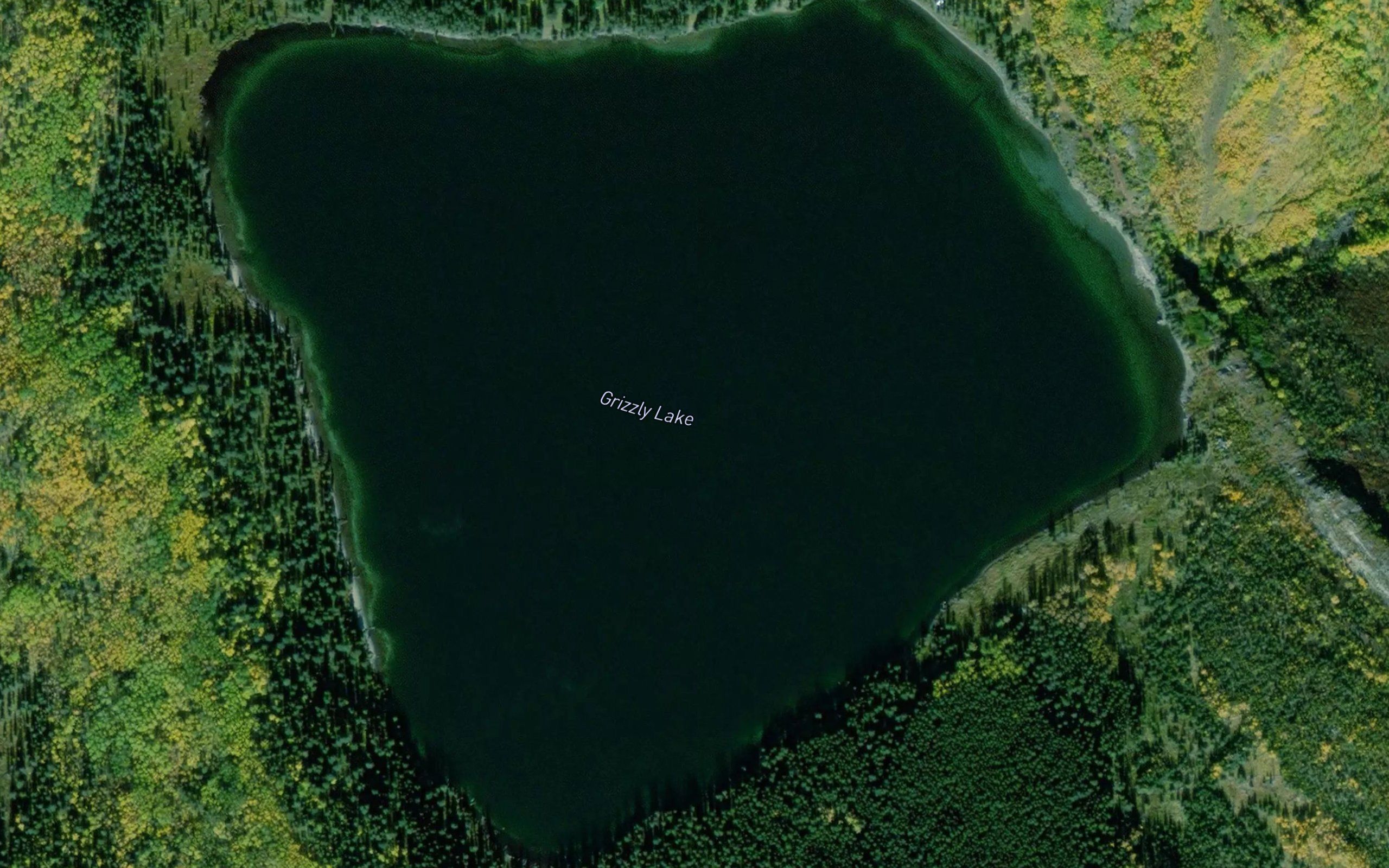 Grizzly Lake