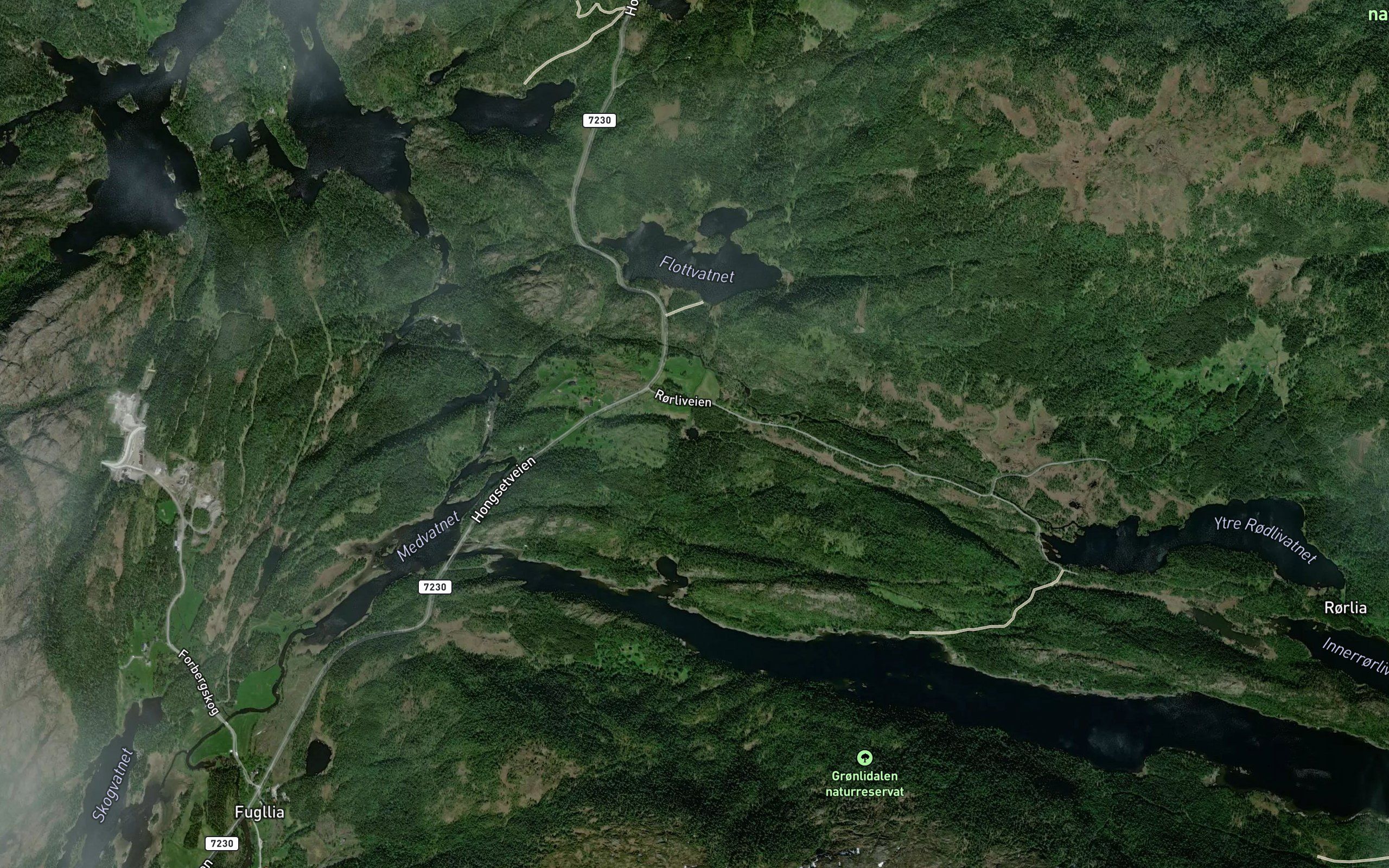 Hundtjonna
