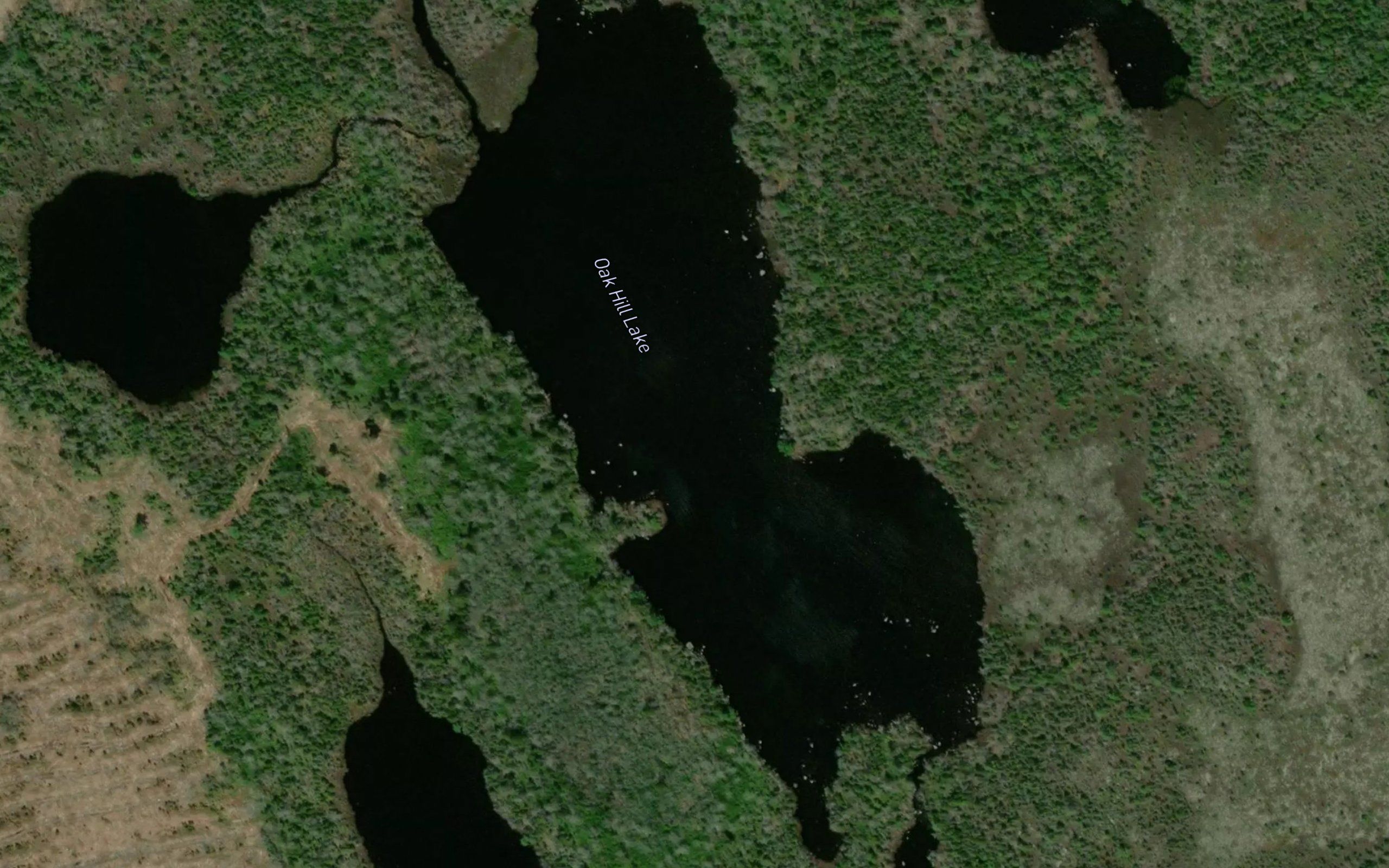 Oak Hill Lake