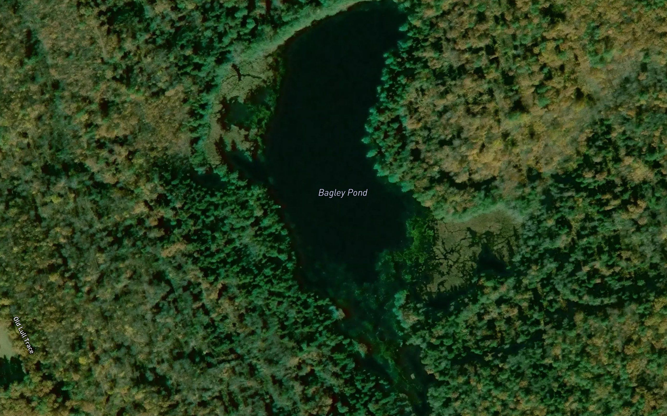Bagley Pond