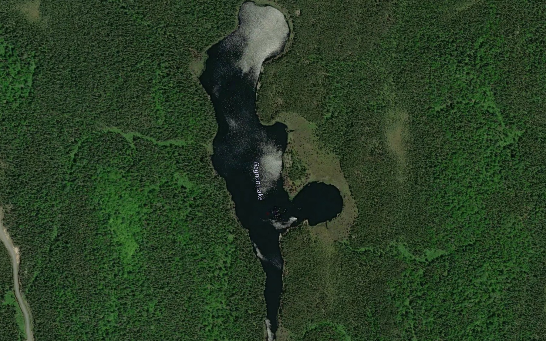 Satellite map of the Gagnon Lake