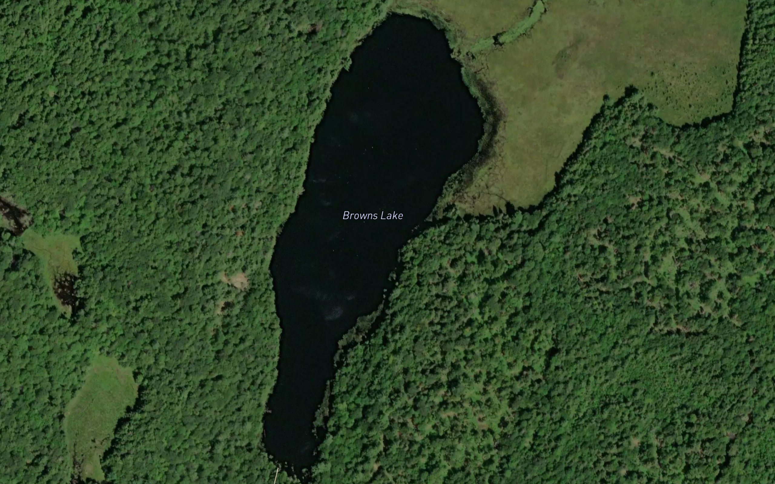 Browns Lake