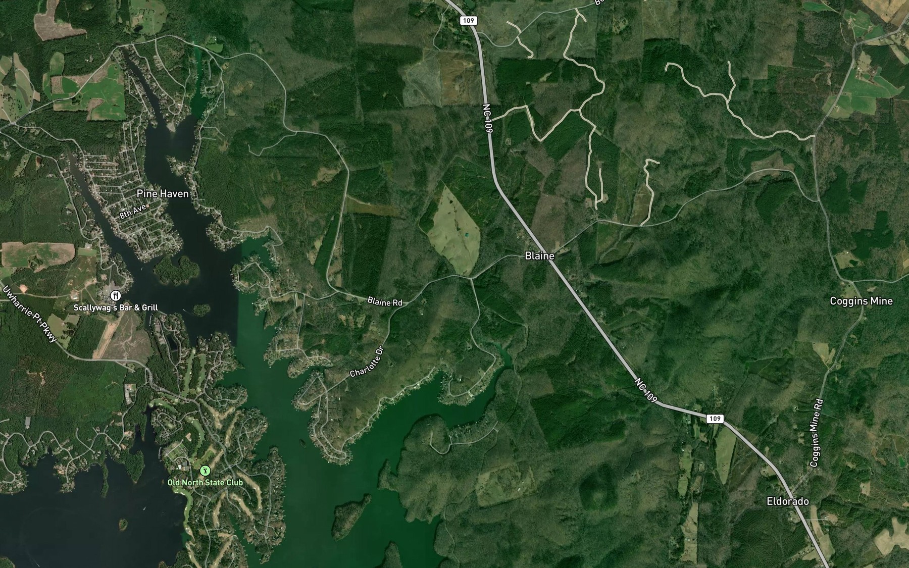 Satellite map of the Mountain Branch