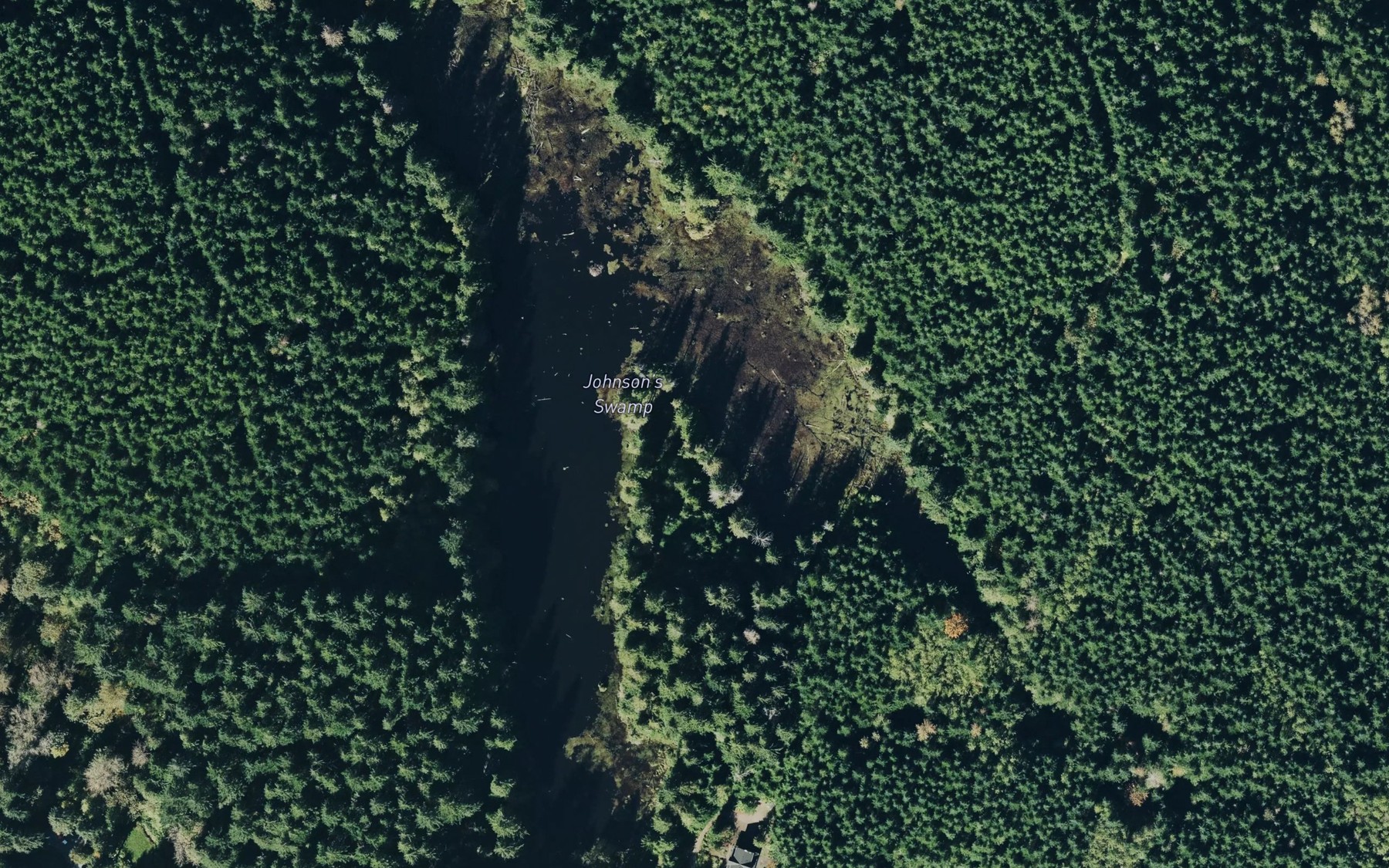 Satellite map of the Johnsons Swamp