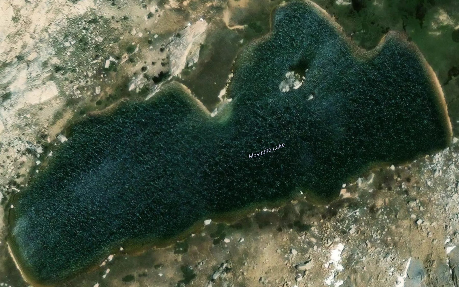 Satellite map of the Mosquito Lake