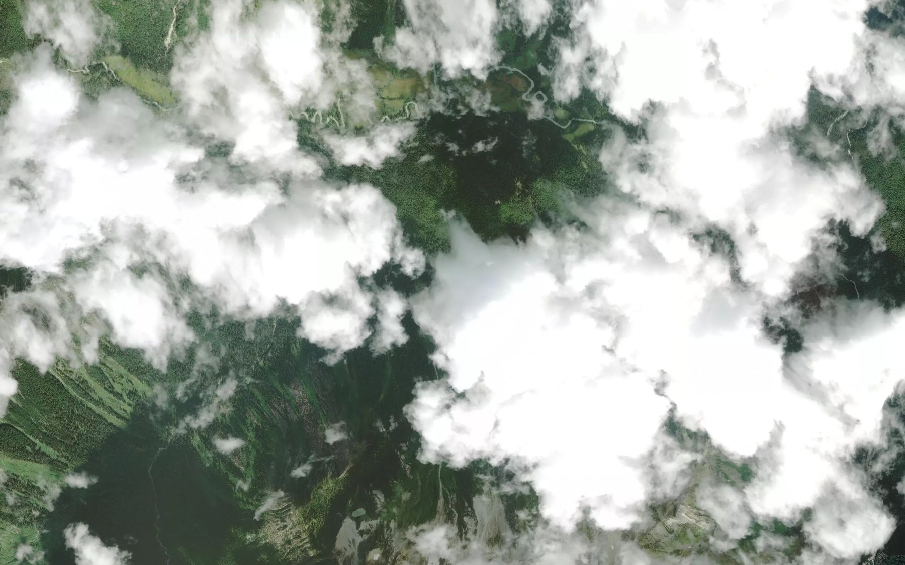 Satellite map of the Casualty Creek