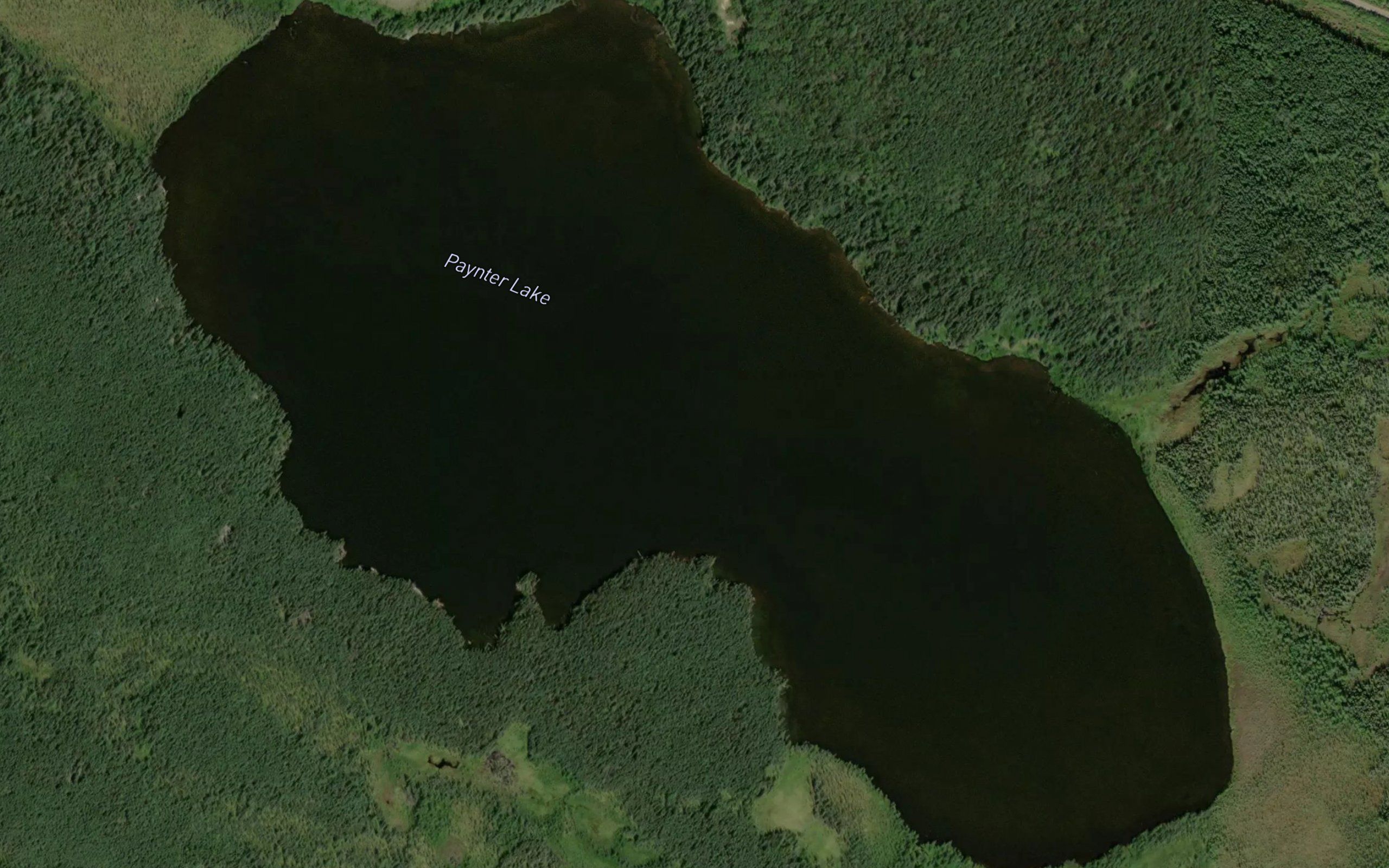 Paynter Lake