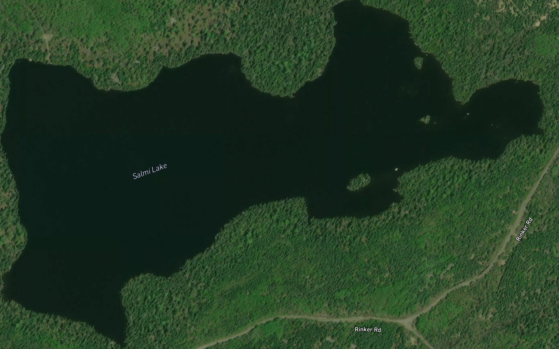 Satellite map of the Salmi Lake