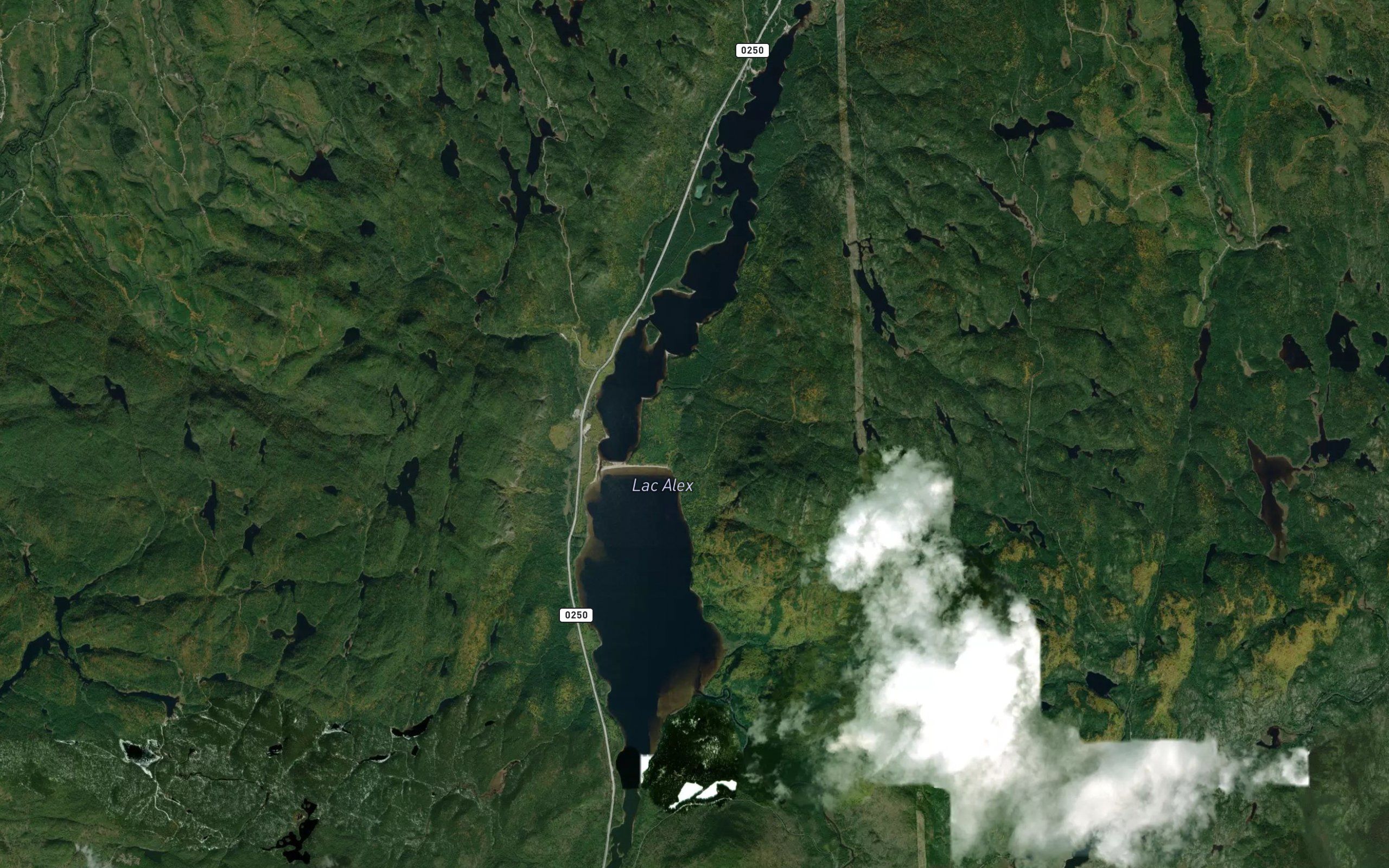 Lac Alex