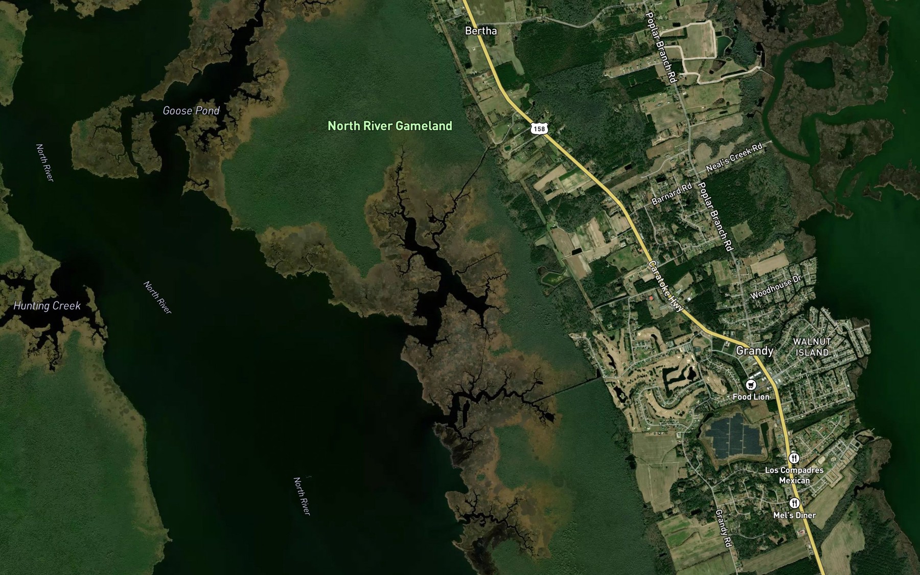 Satellite map of the Lutz Creek