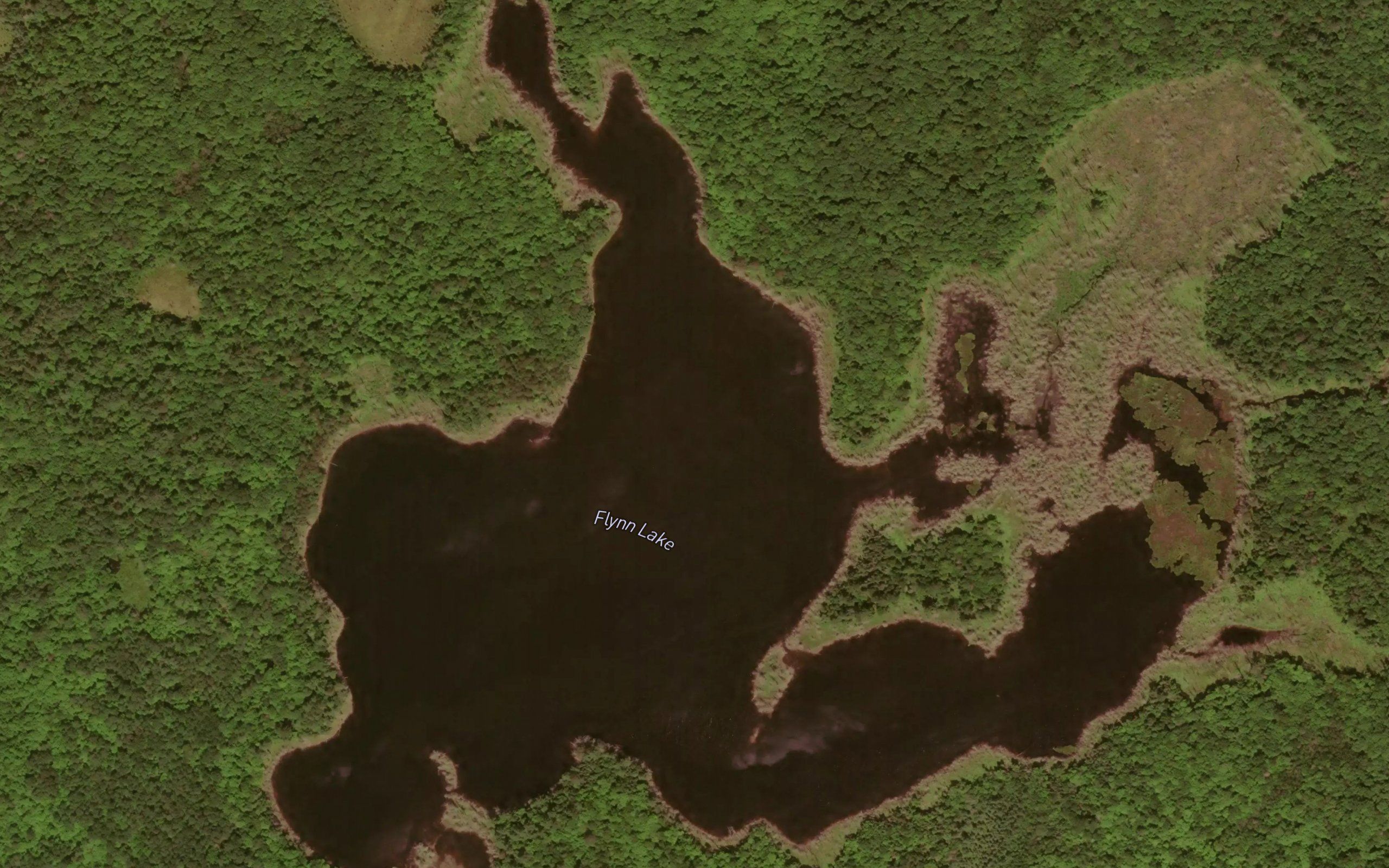 Flynn Lake