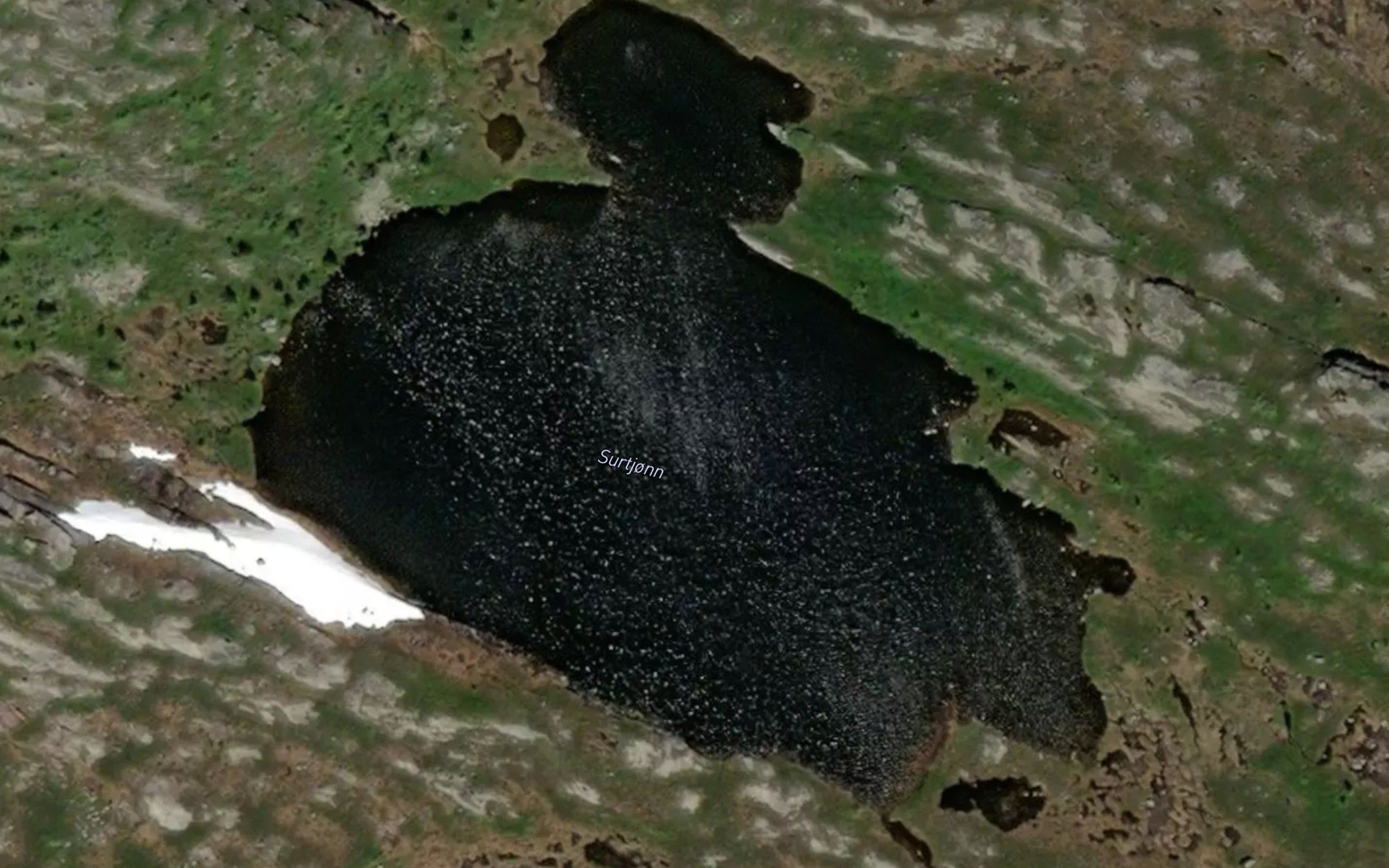 Surtjonn