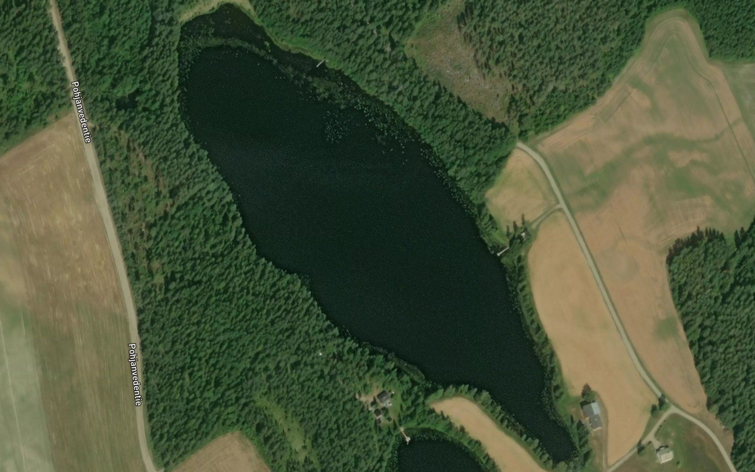 Purontauslampi