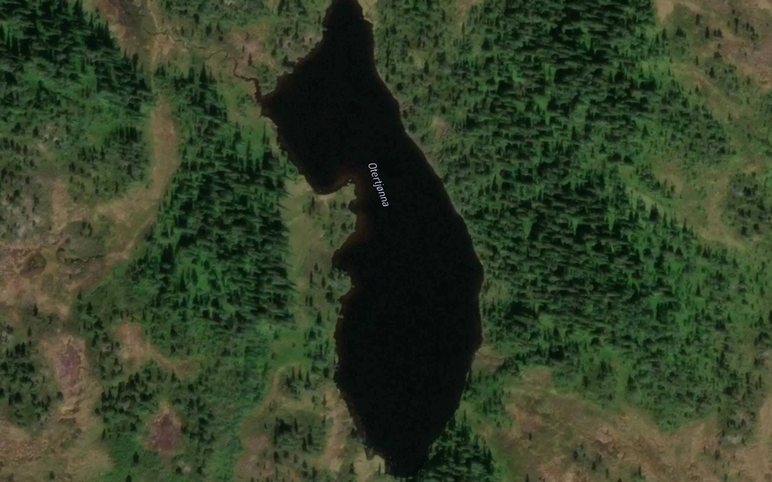 Otertjonna