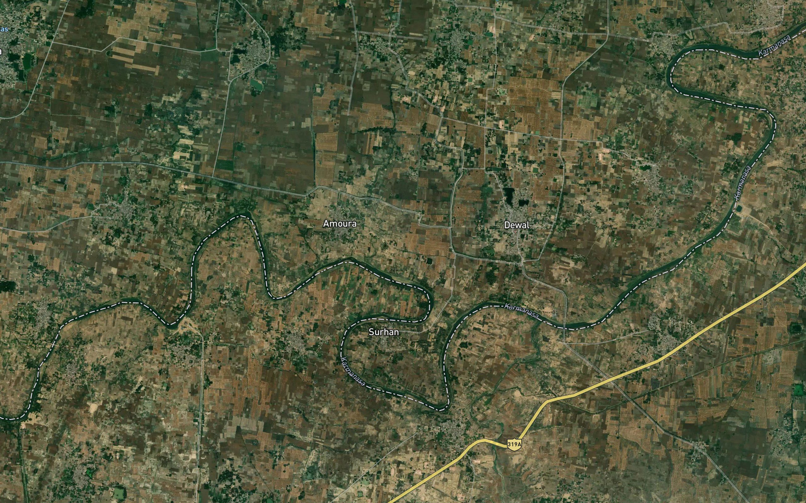 Amaura Minor