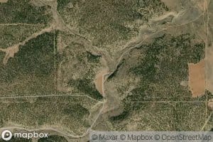Wheeler Arroyo