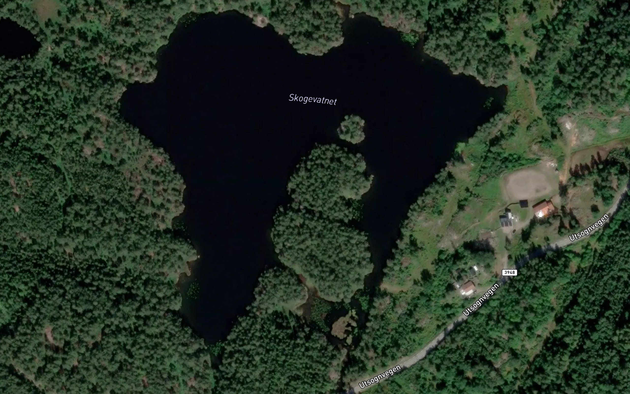 Skogevatnet