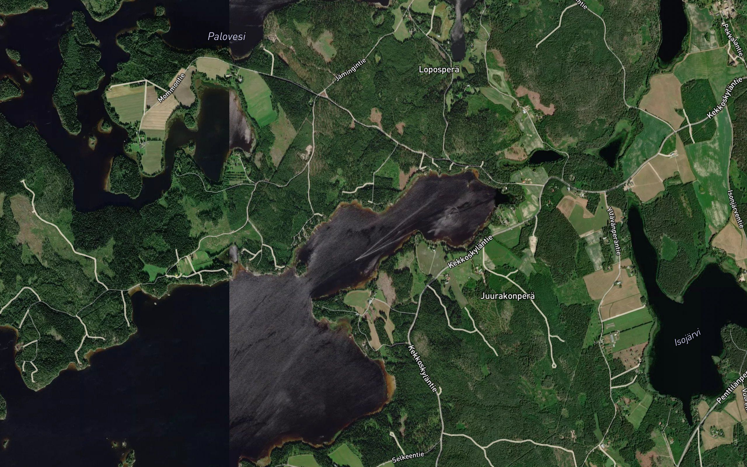 Juurakkolahti