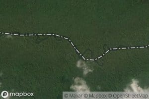 Mambongolima