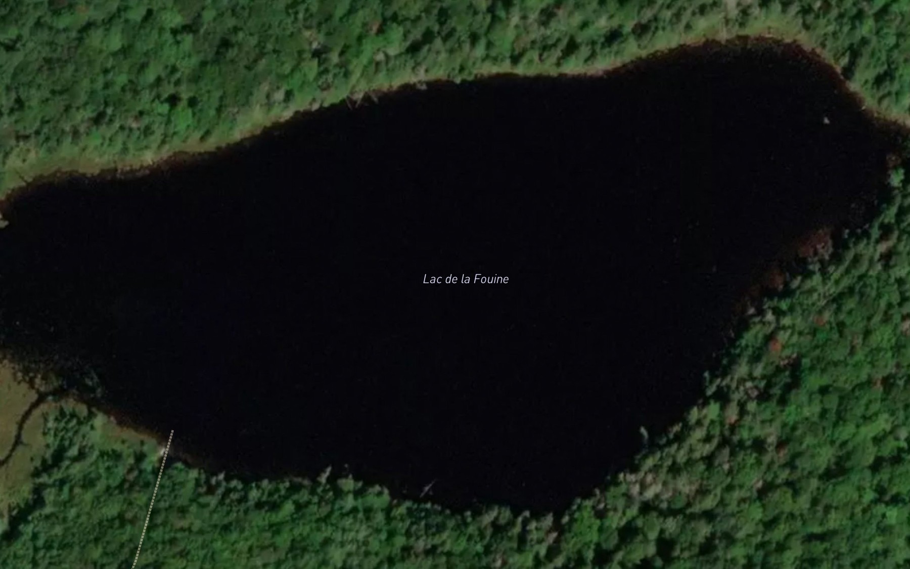 Satellite map of the Lac de la Fouine