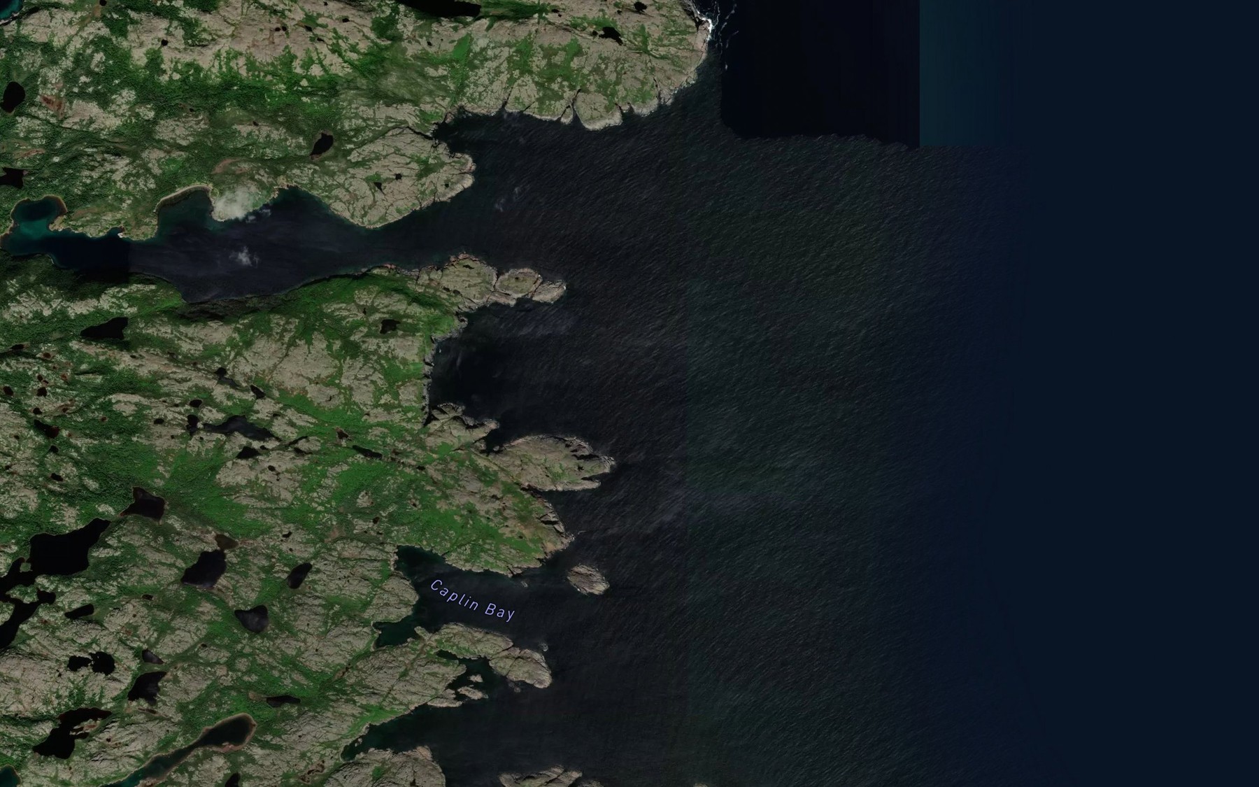 Satellite map of the Redman Cove