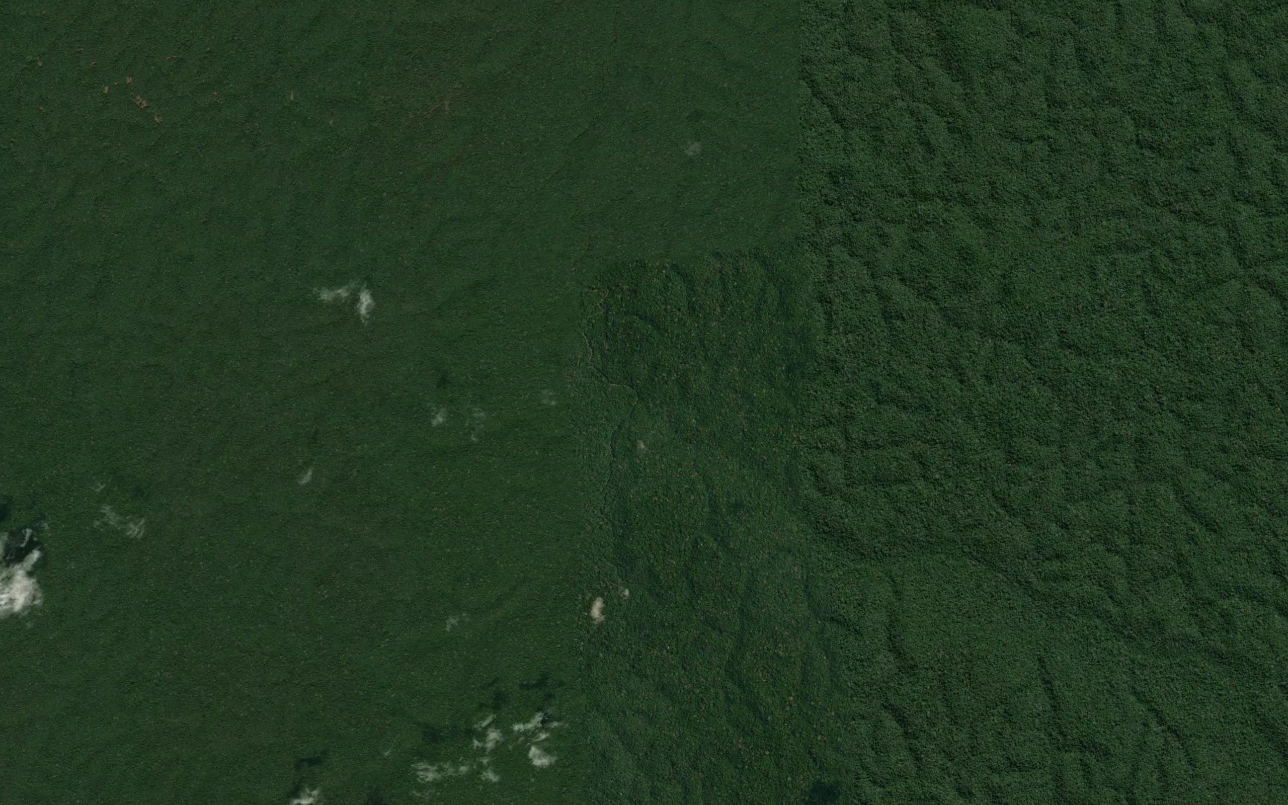 Igarape Guariba