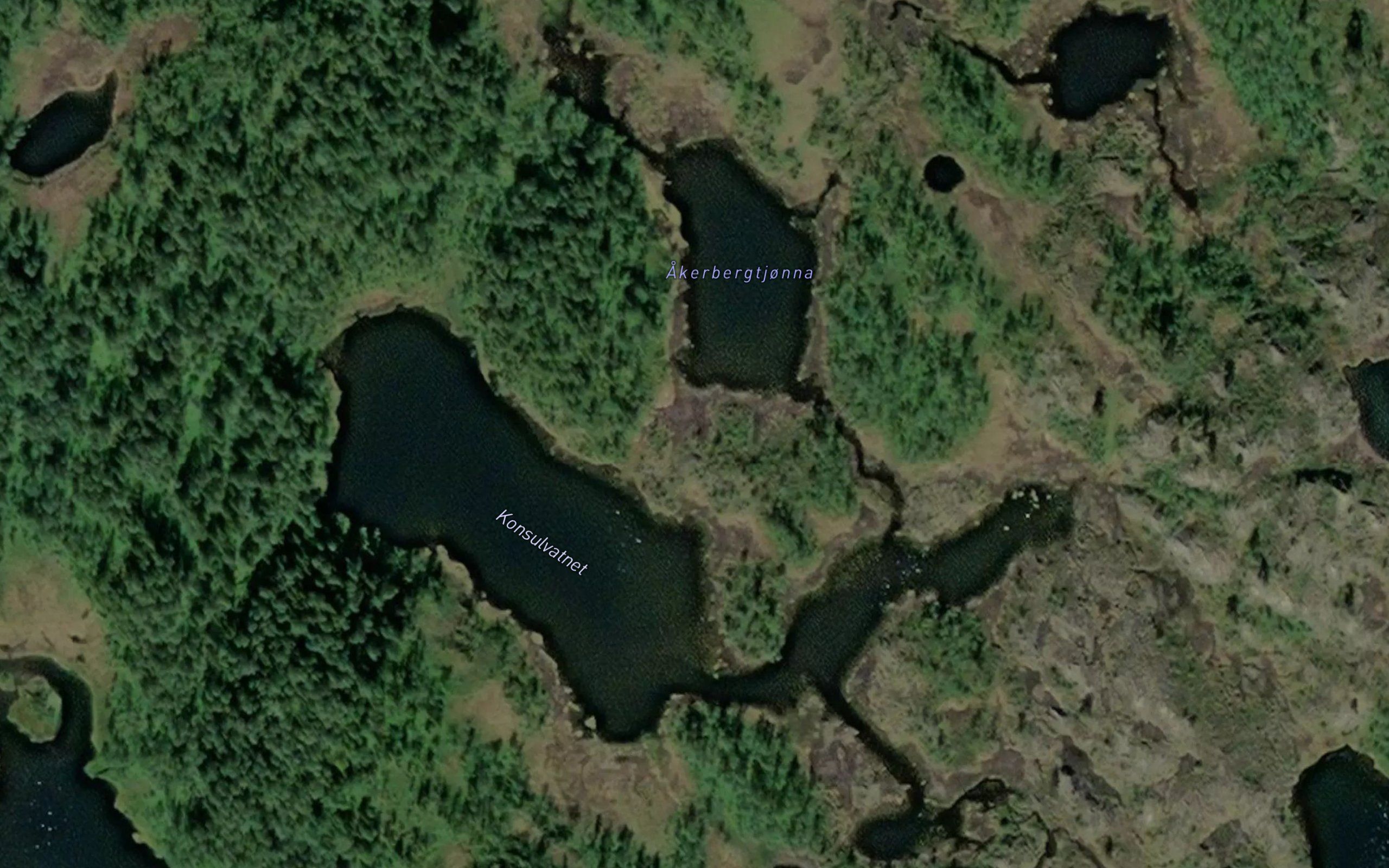 Konsulvatnet