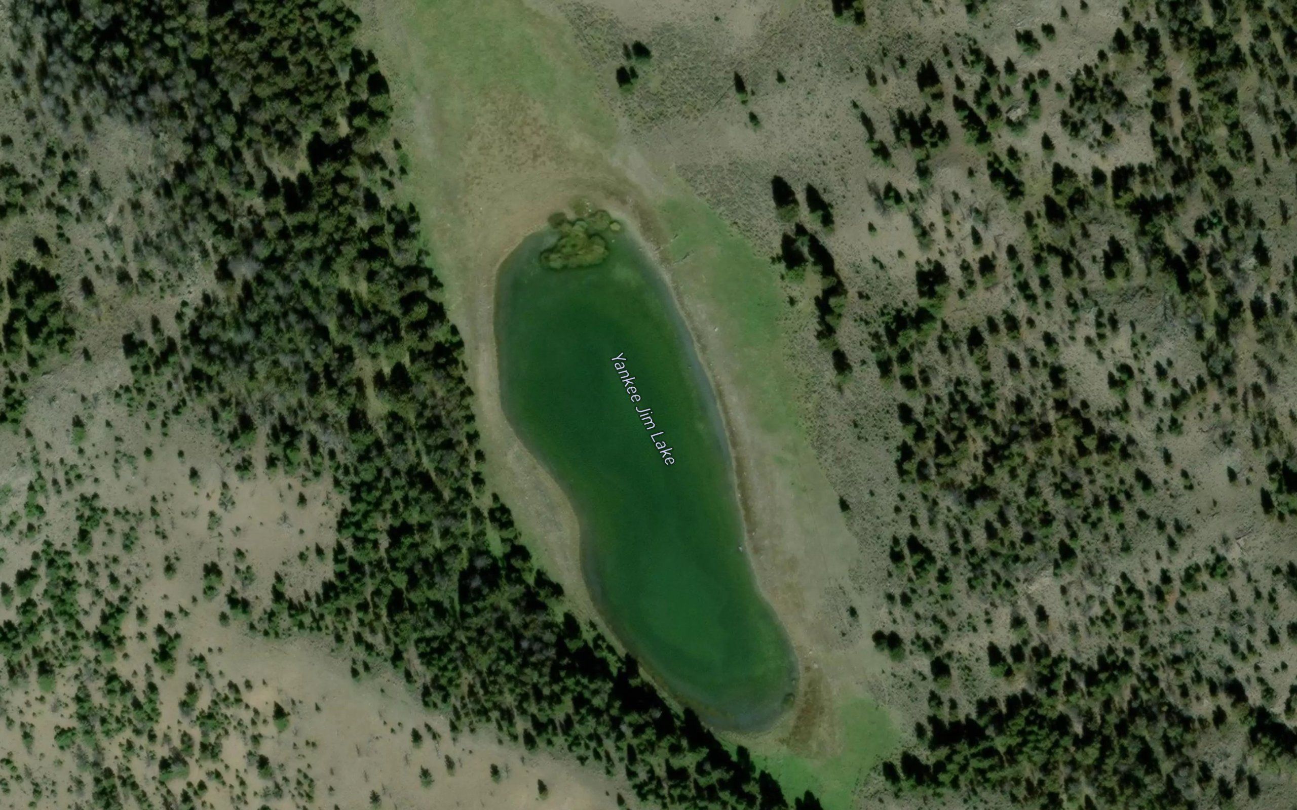 Yankee Jim Lake