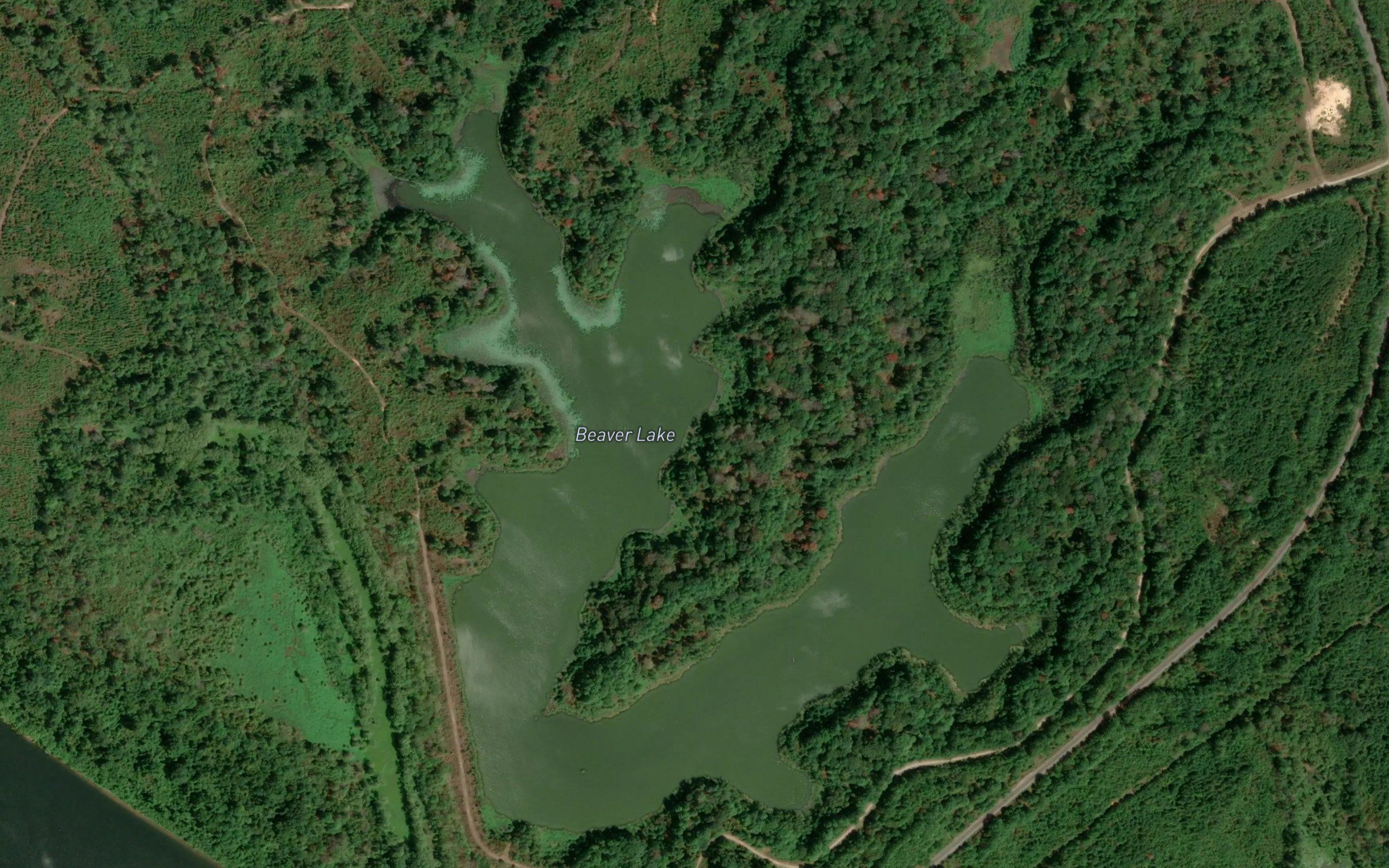 Beaver Lake