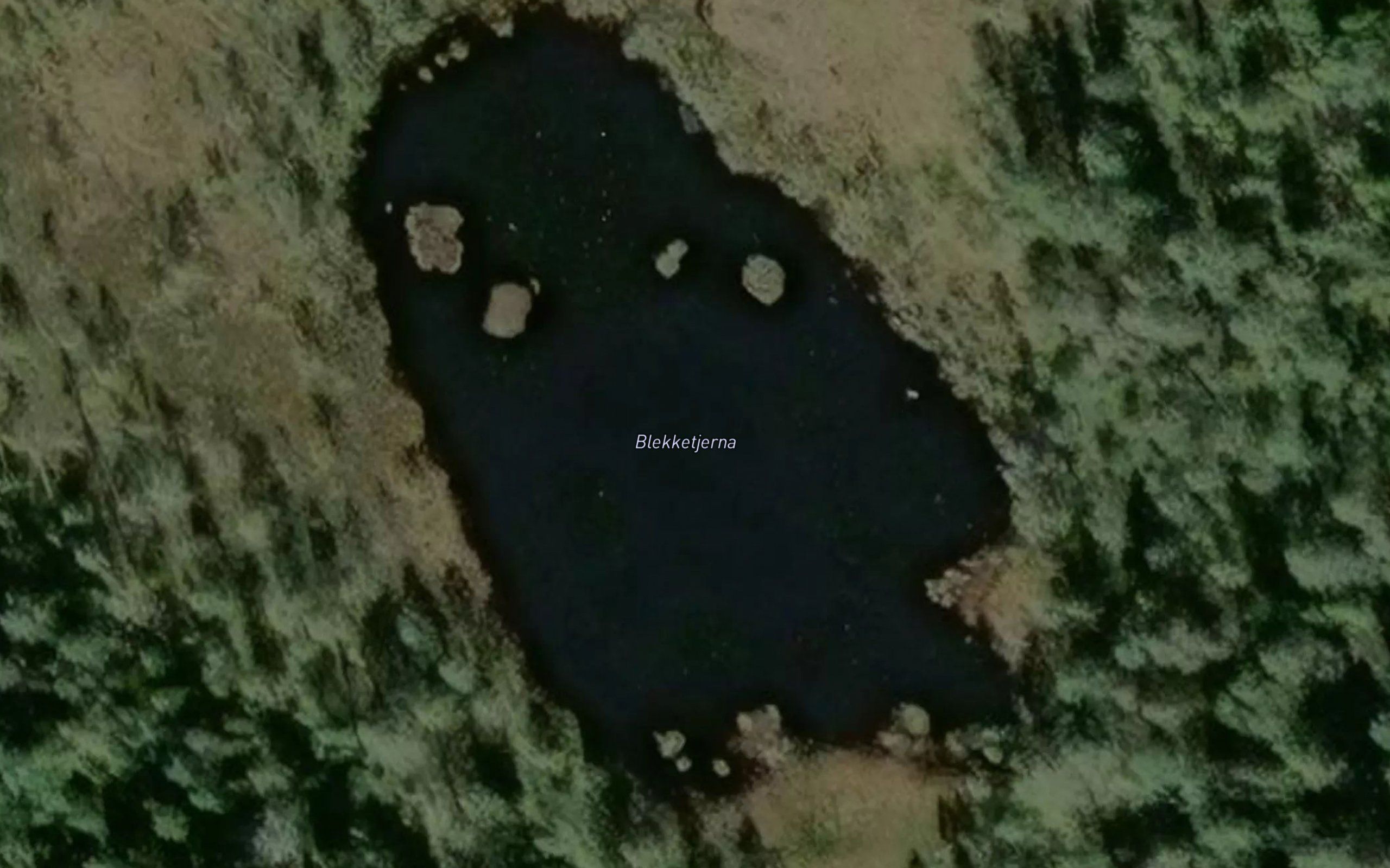 Blekketjerna