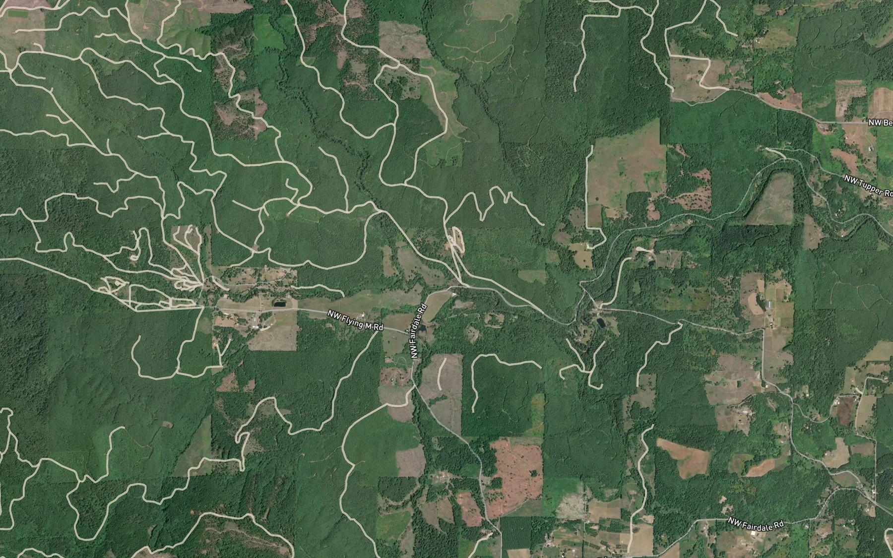 Satellite map of the Fairdale Mineral Spring