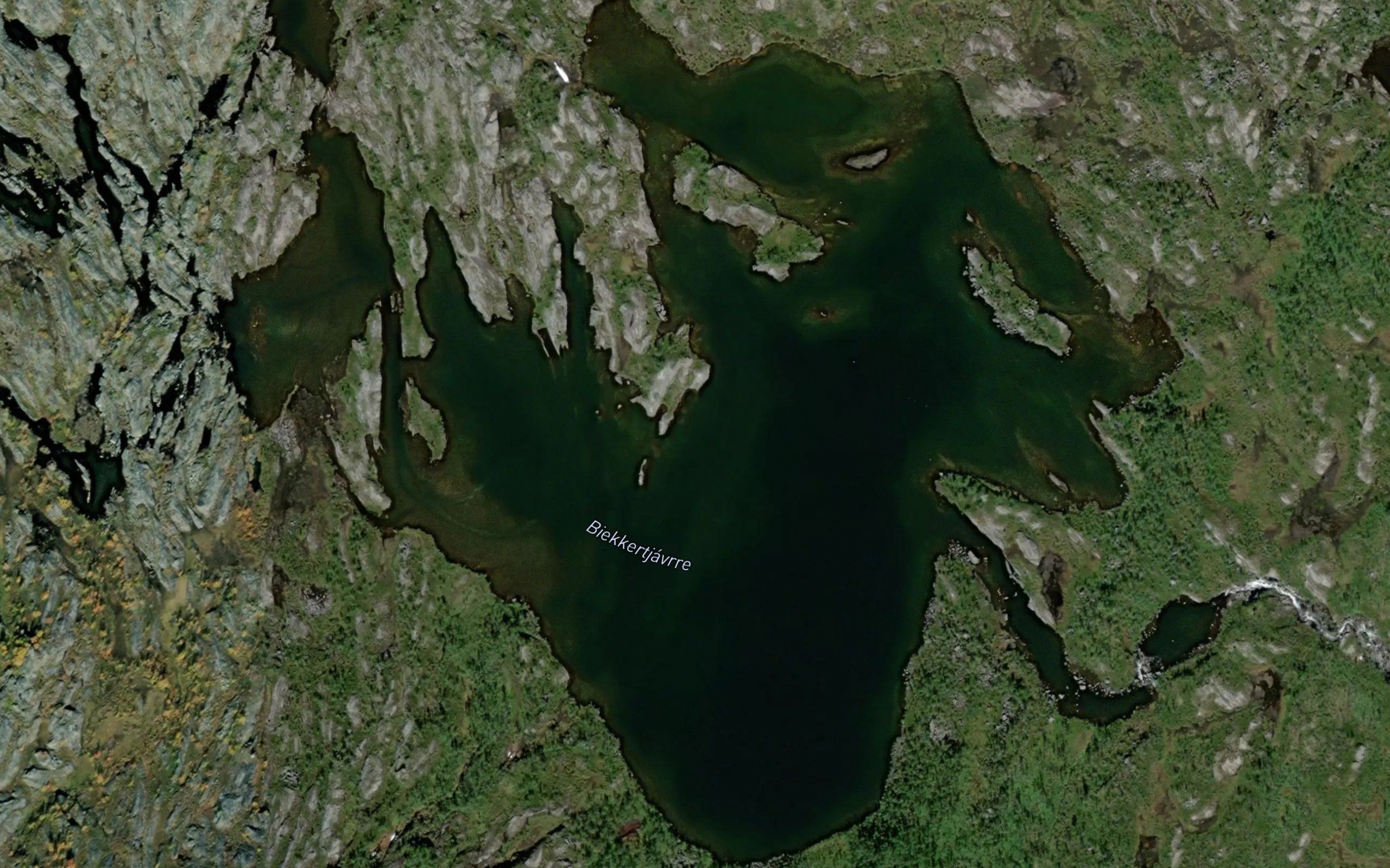 Biekkertjavri