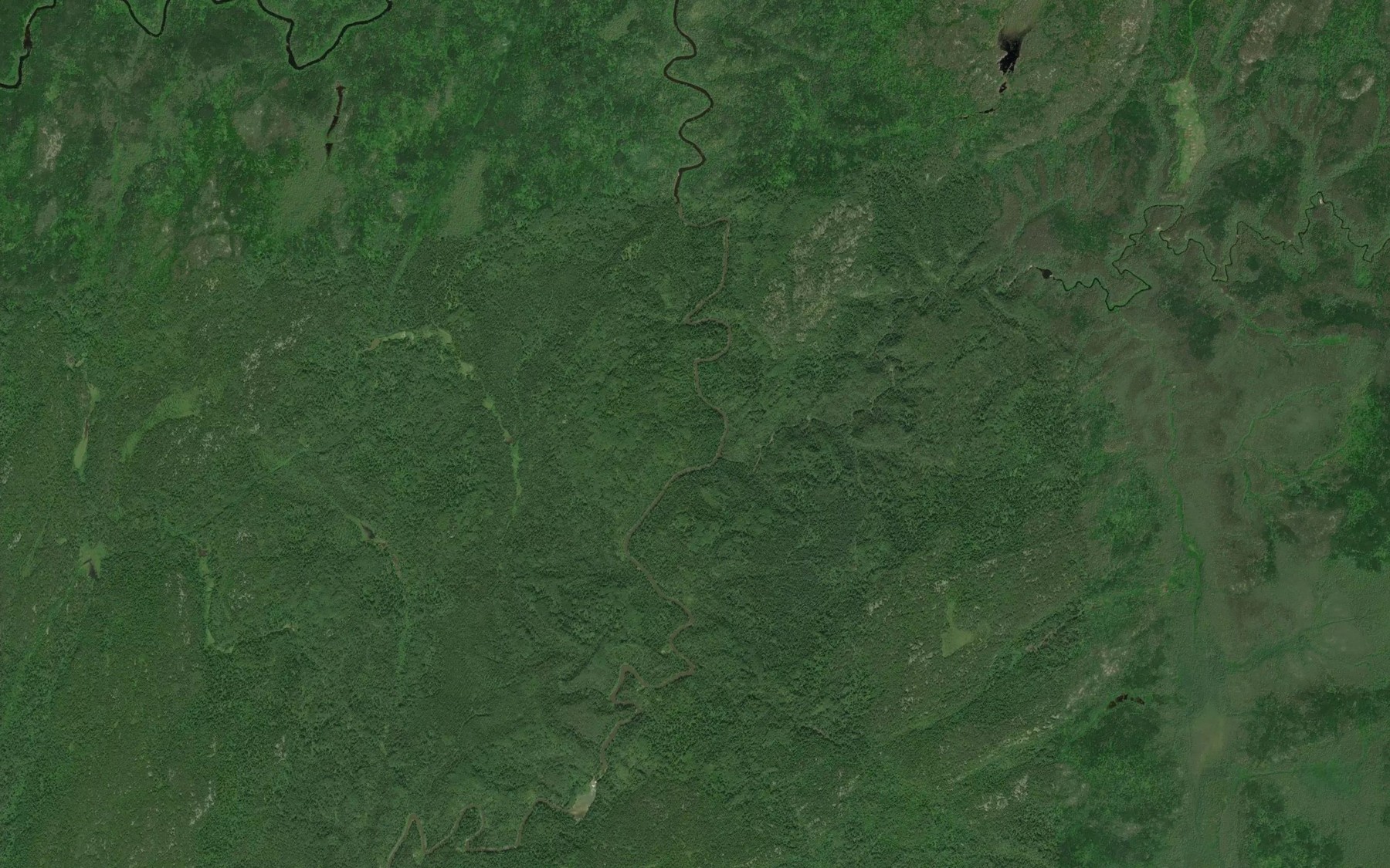 Satellite map of the Vein Creek