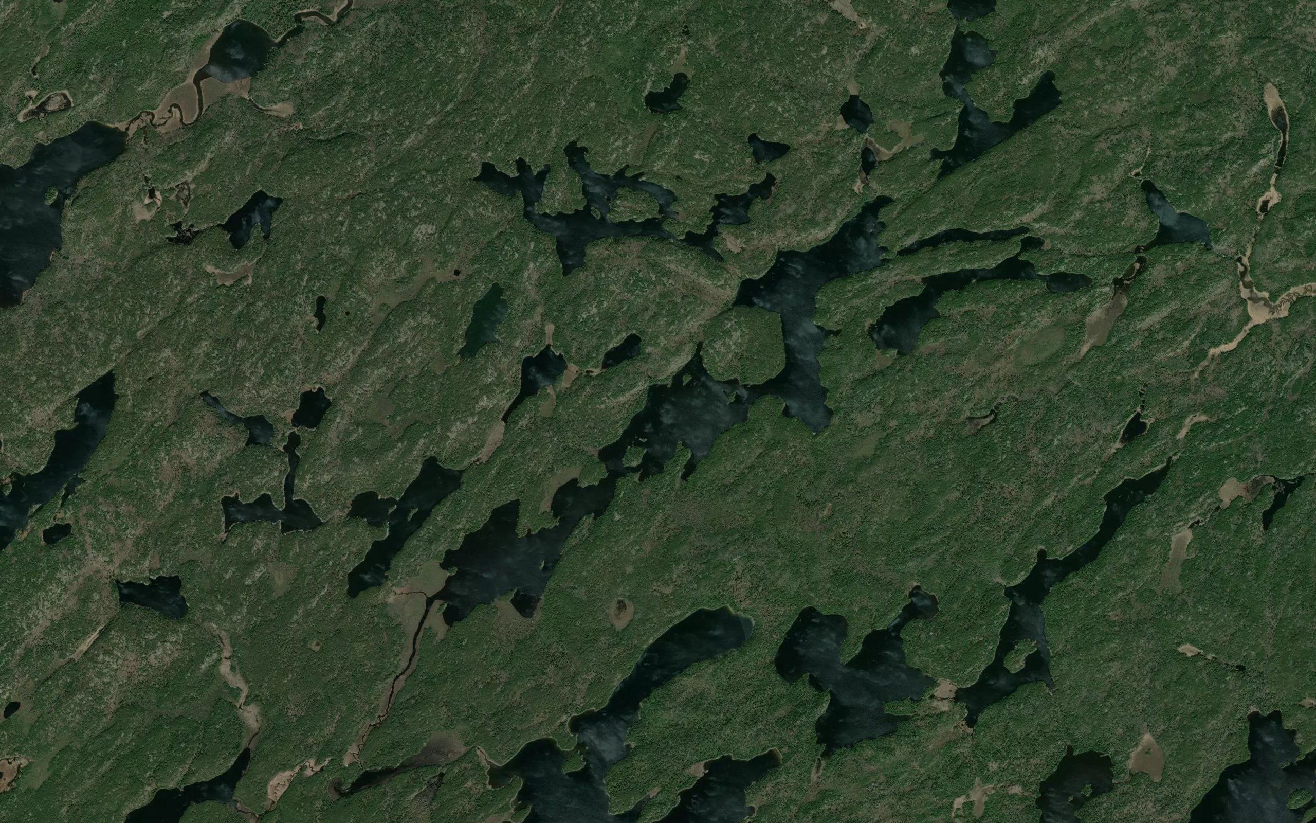 Higbee Lake
